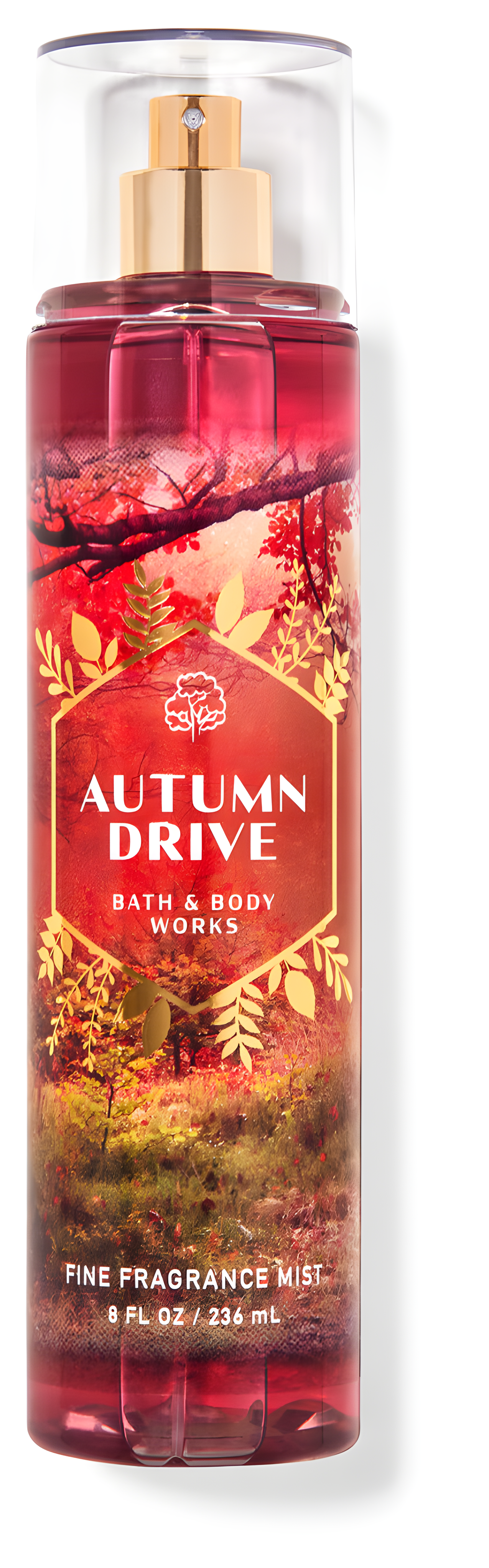 Autumn Drive by Bath & Body Works perfume bottle