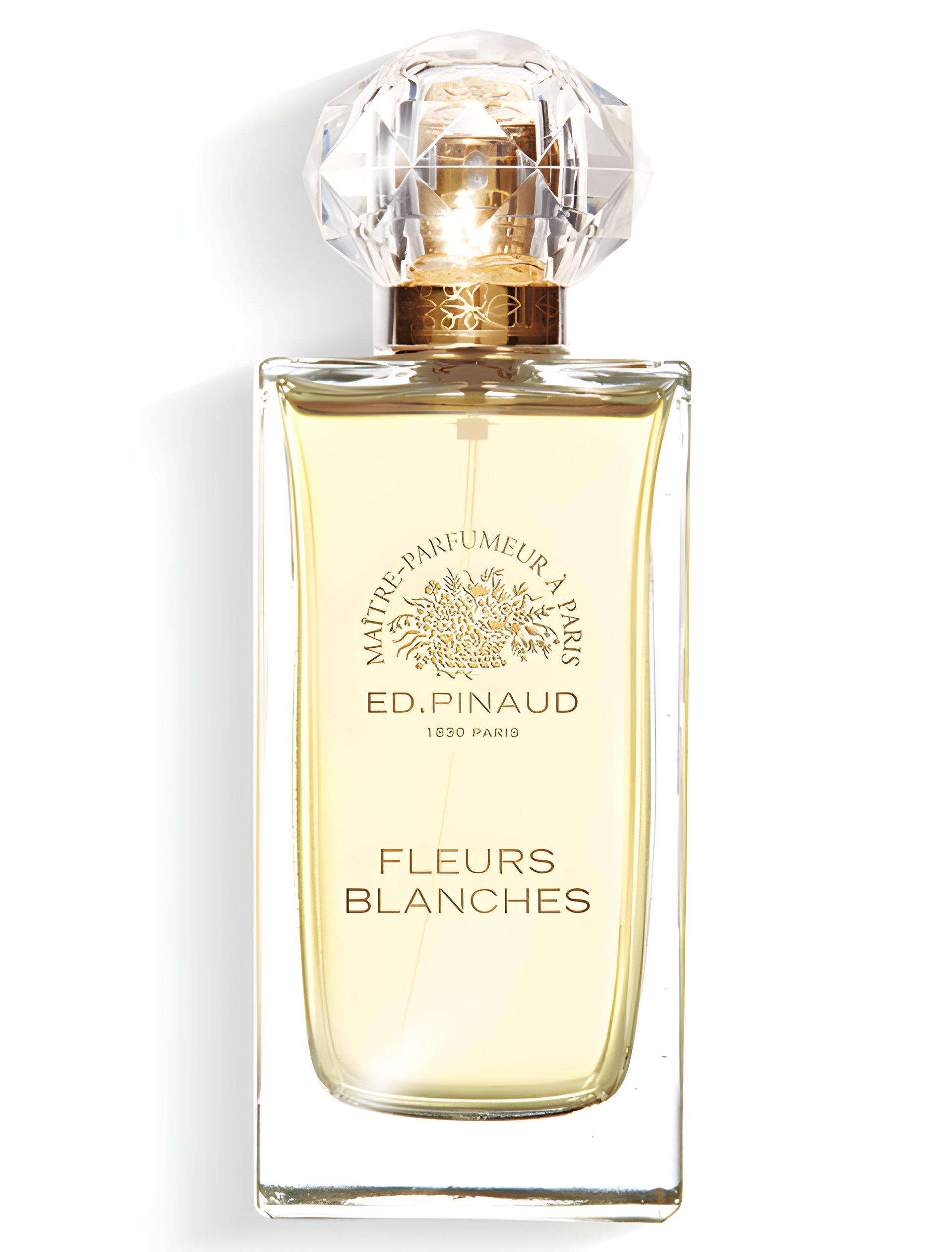Fleurs Blanches by Ed Pinaud perfume bottle