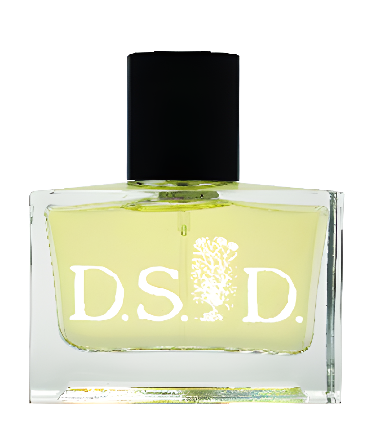 Silent Grove by DS&Durga perfume bottle