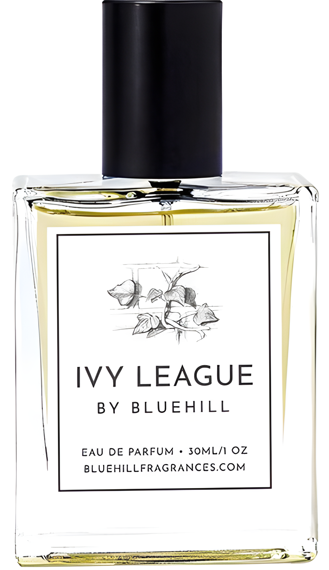 Ivy League by Bluehill perfume bottle