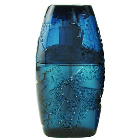 Horizon by Guy Laroche perfume bottle