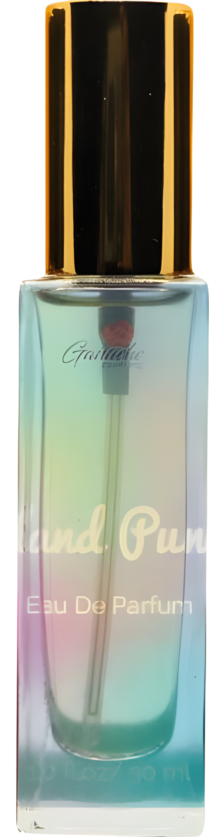 Island Punch by Ganache Parfums perfume bottle