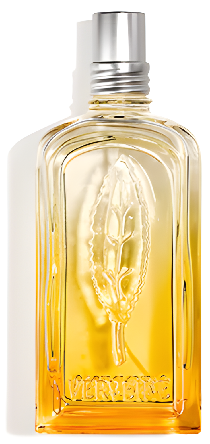 Verveine Agrumes 2020 by L'Occitane en Provence perfume bottle