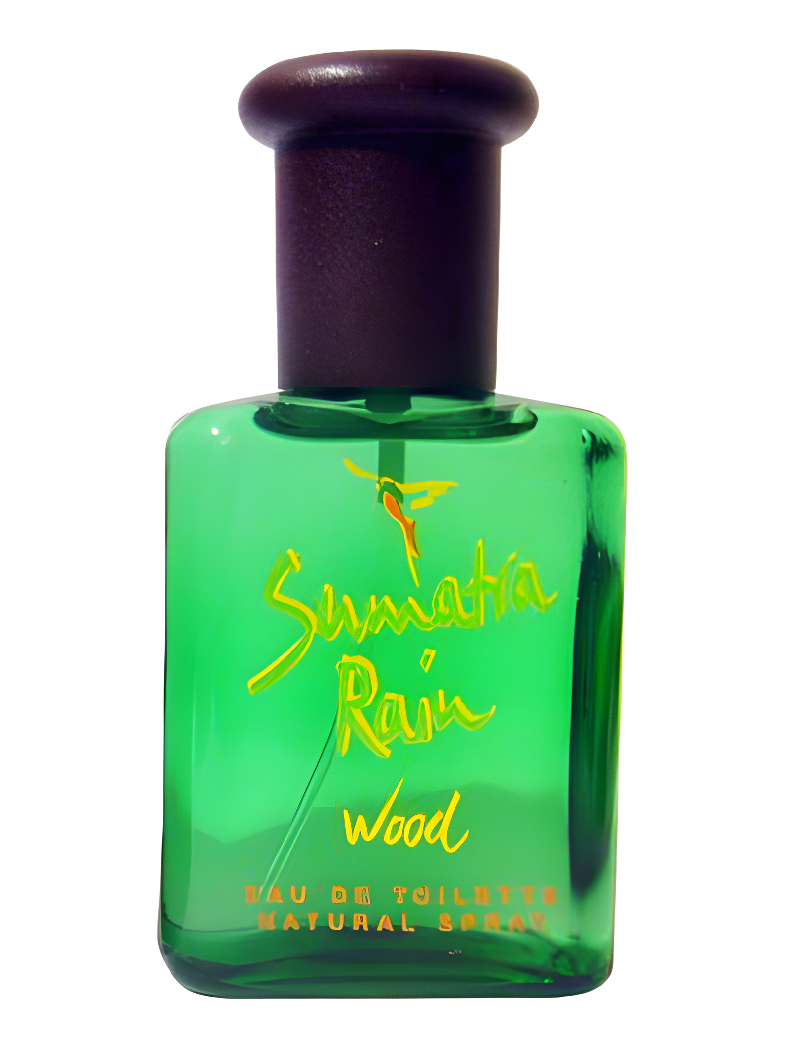 Sumatra Rain Wood by Muelhens