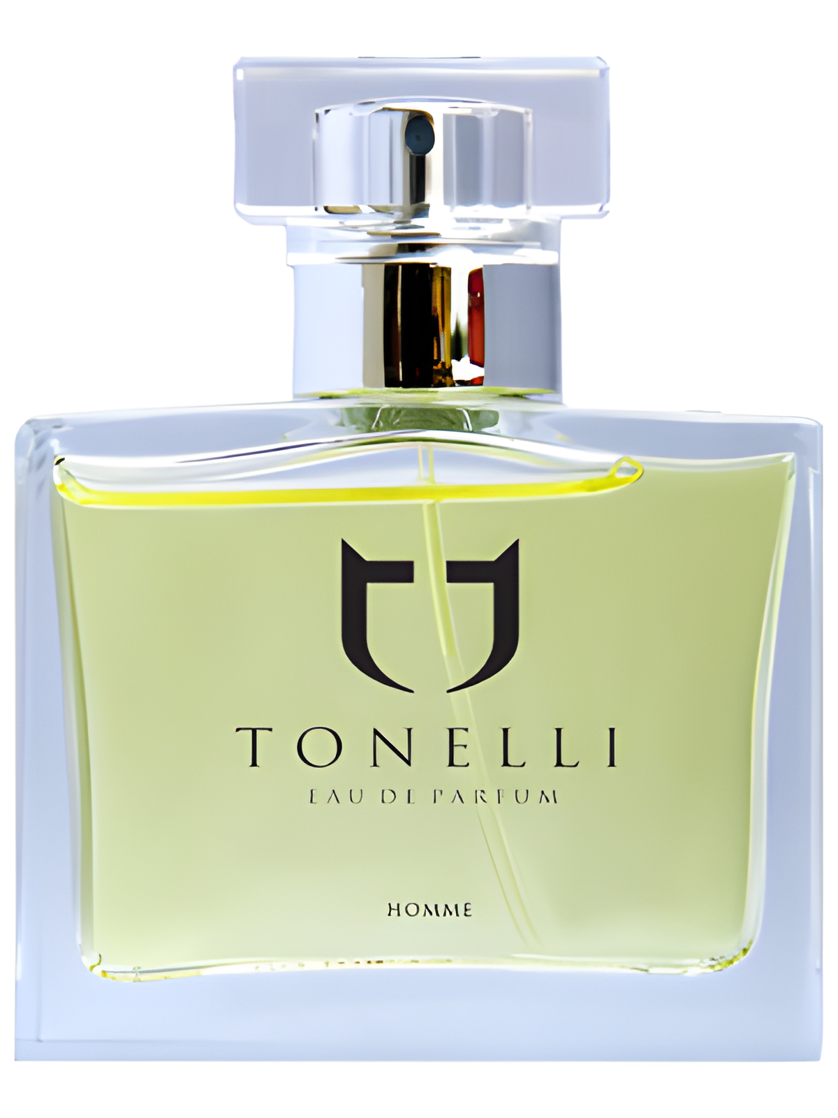 Tonelli Homme by Tonelli perfume bottle