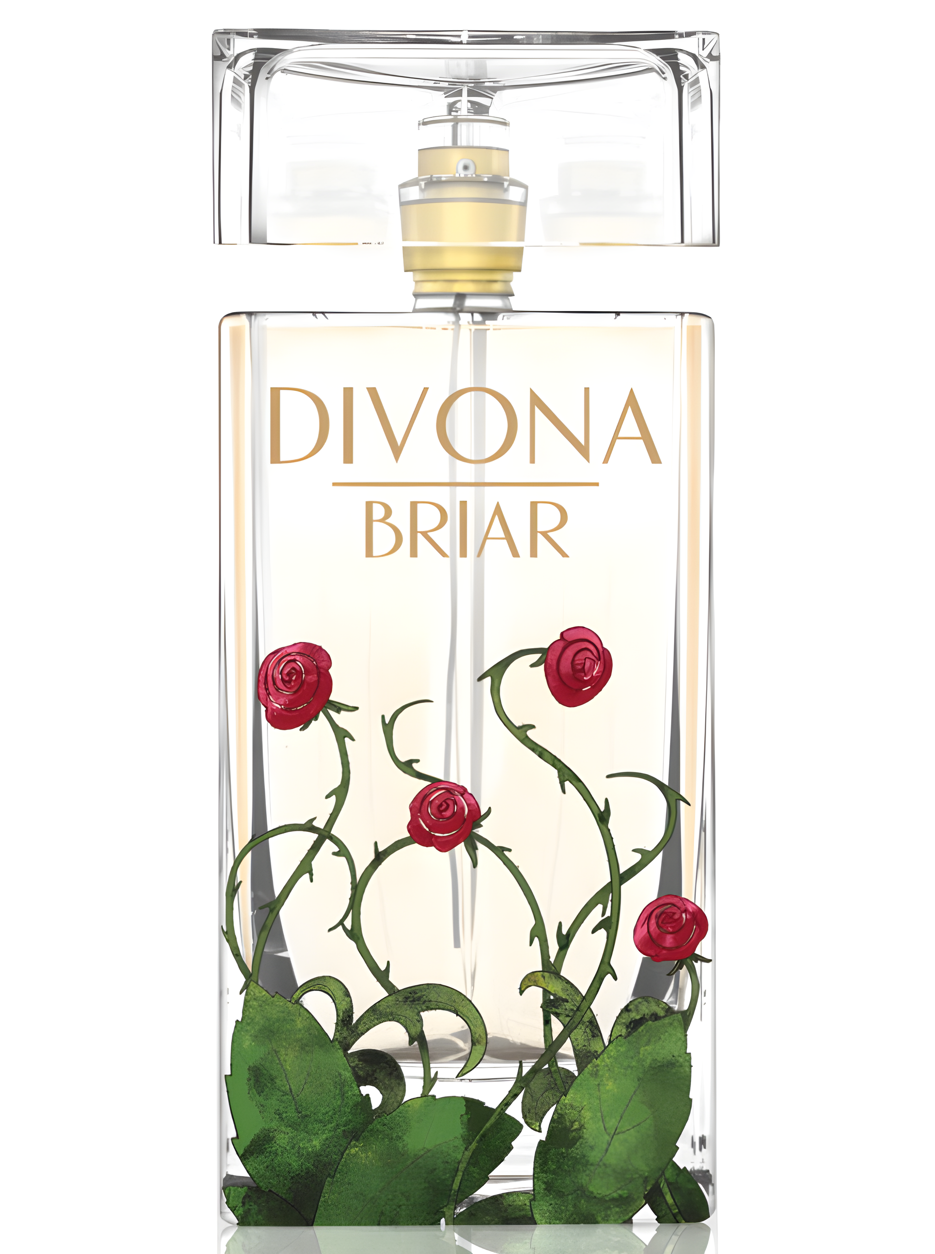Briar by Divona perfume bottle