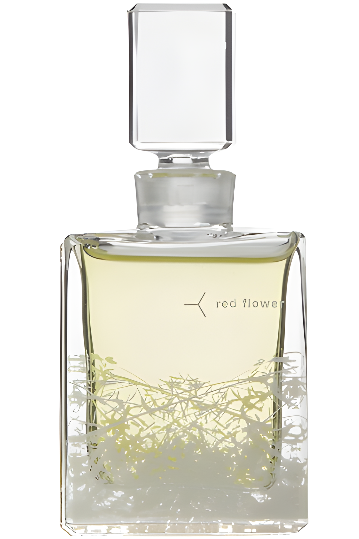 Ambrette by Red Flower Organic Perfume perfume bottle