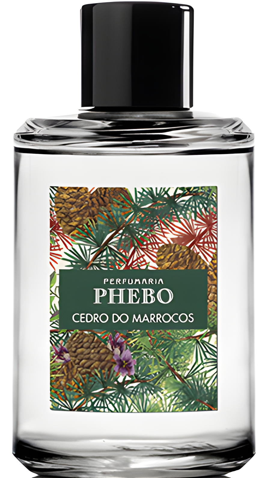 Cedro Do Marrocos by Phebo perfume bottle