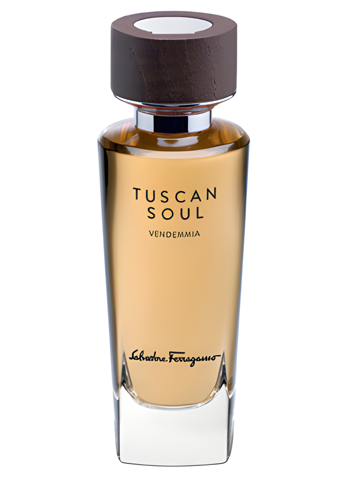 Vendemmia (2013) by Salvatore Ferragamo perfume bottle
