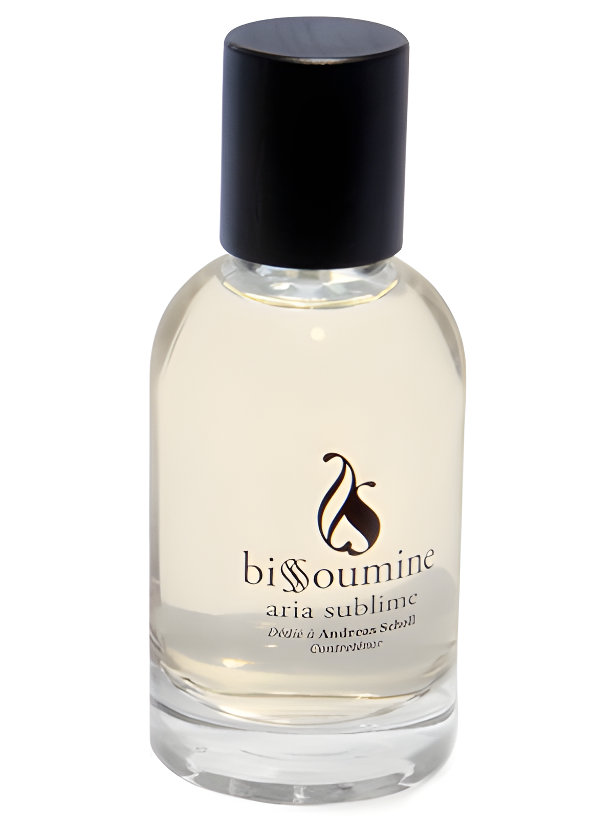 Aria Sublime by Bissoumine perfume bottle