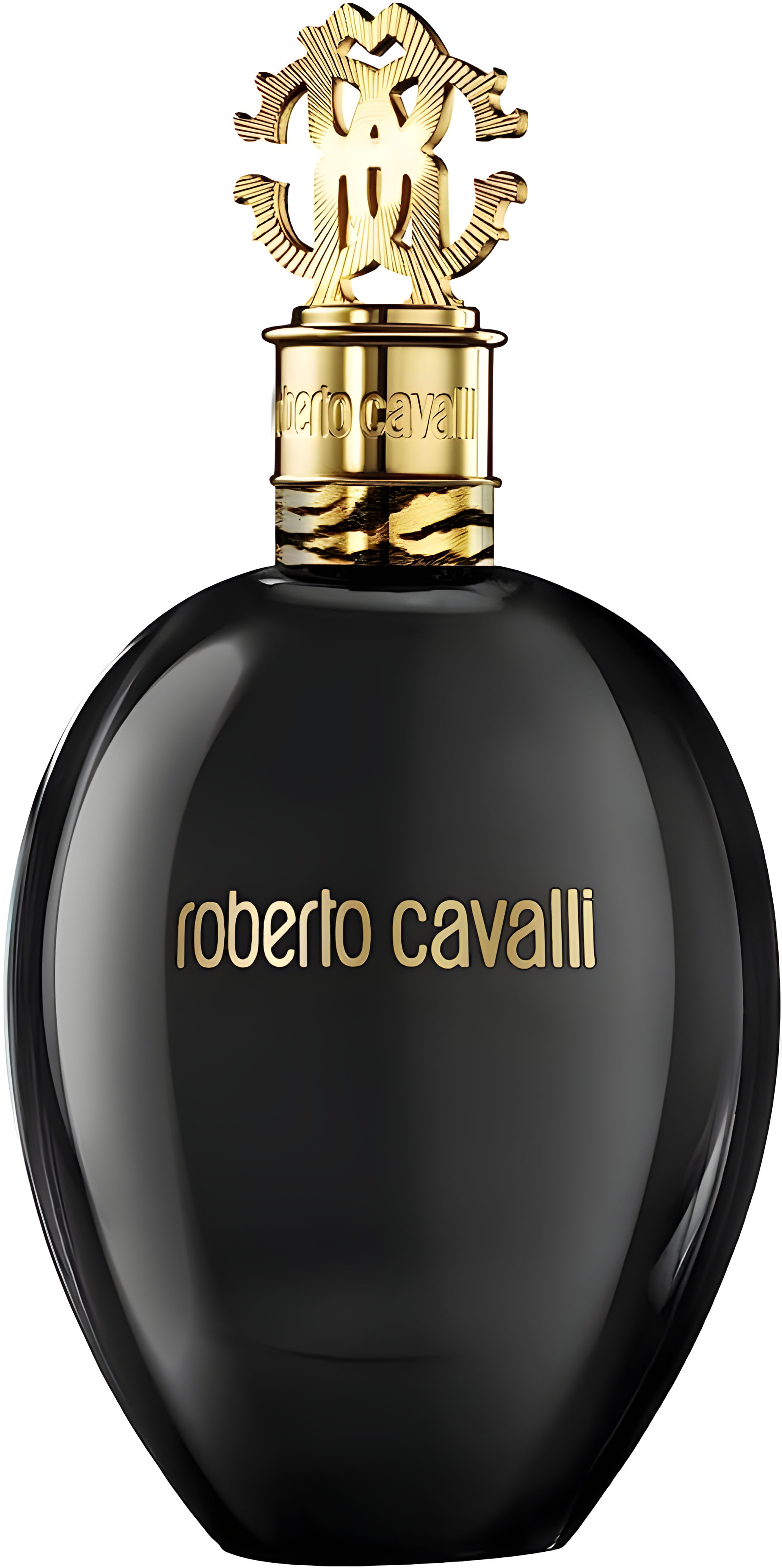 Roberto Cavalli Nero Assoluto by Roberto Cavalli perfume bottle