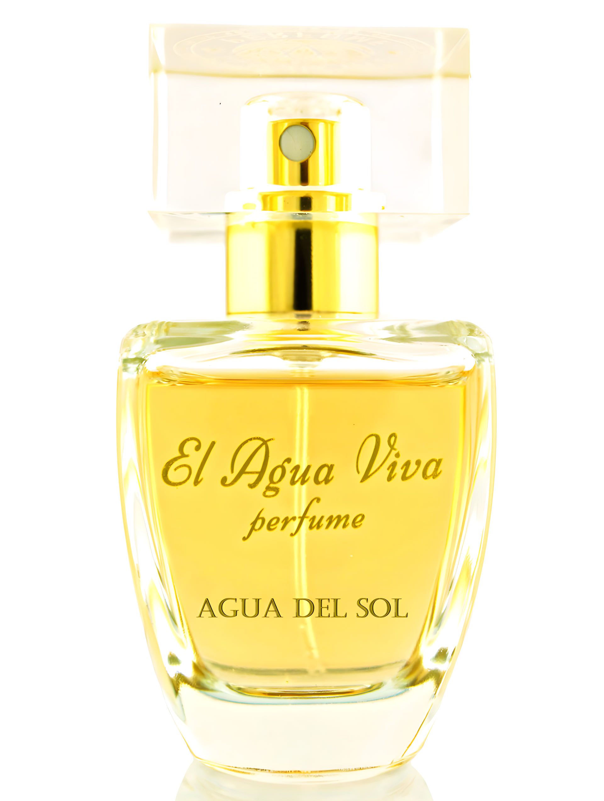 Agua Del Sol Солнечная Вода by El Agua Viva Perfume perfume bottle