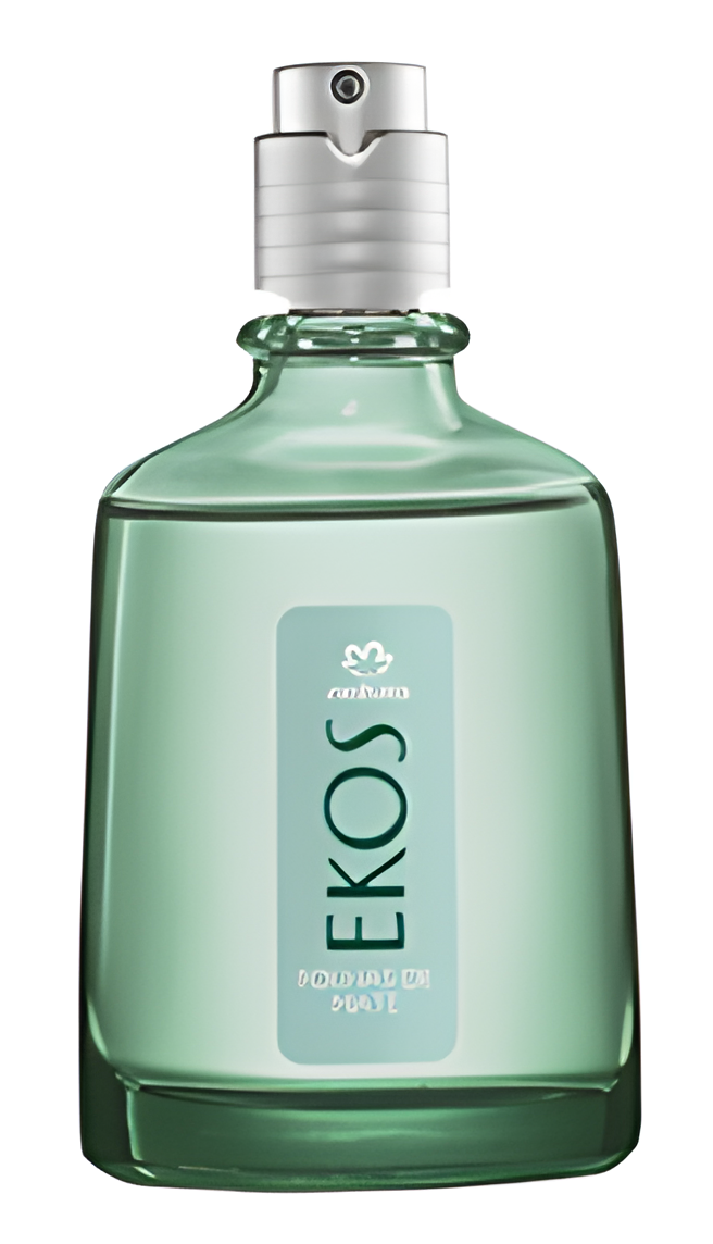 Mate Leaves (Folhas de Mate) by Natura perfume bottle