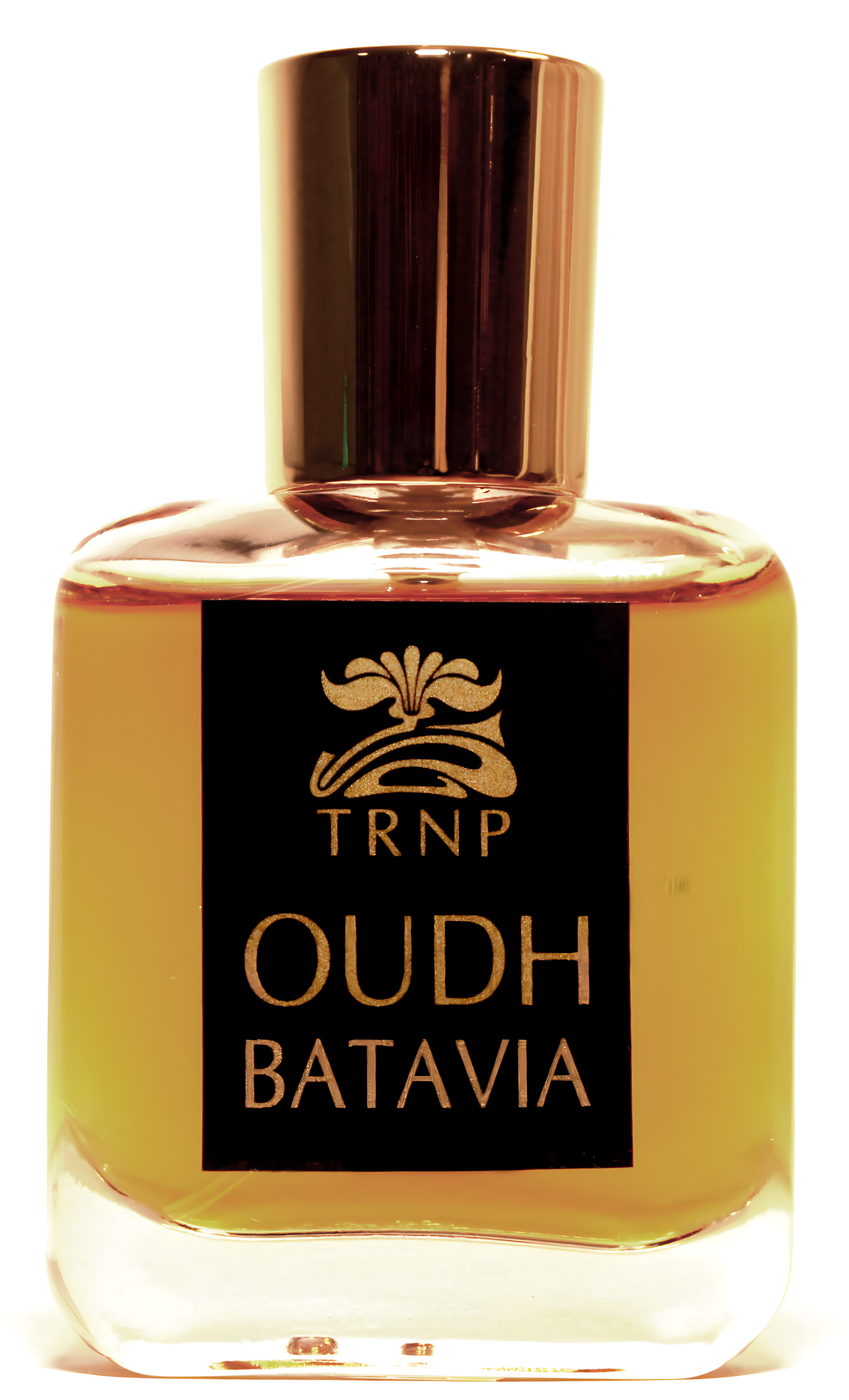 Oudh Batavia by TRNP perfume bottle