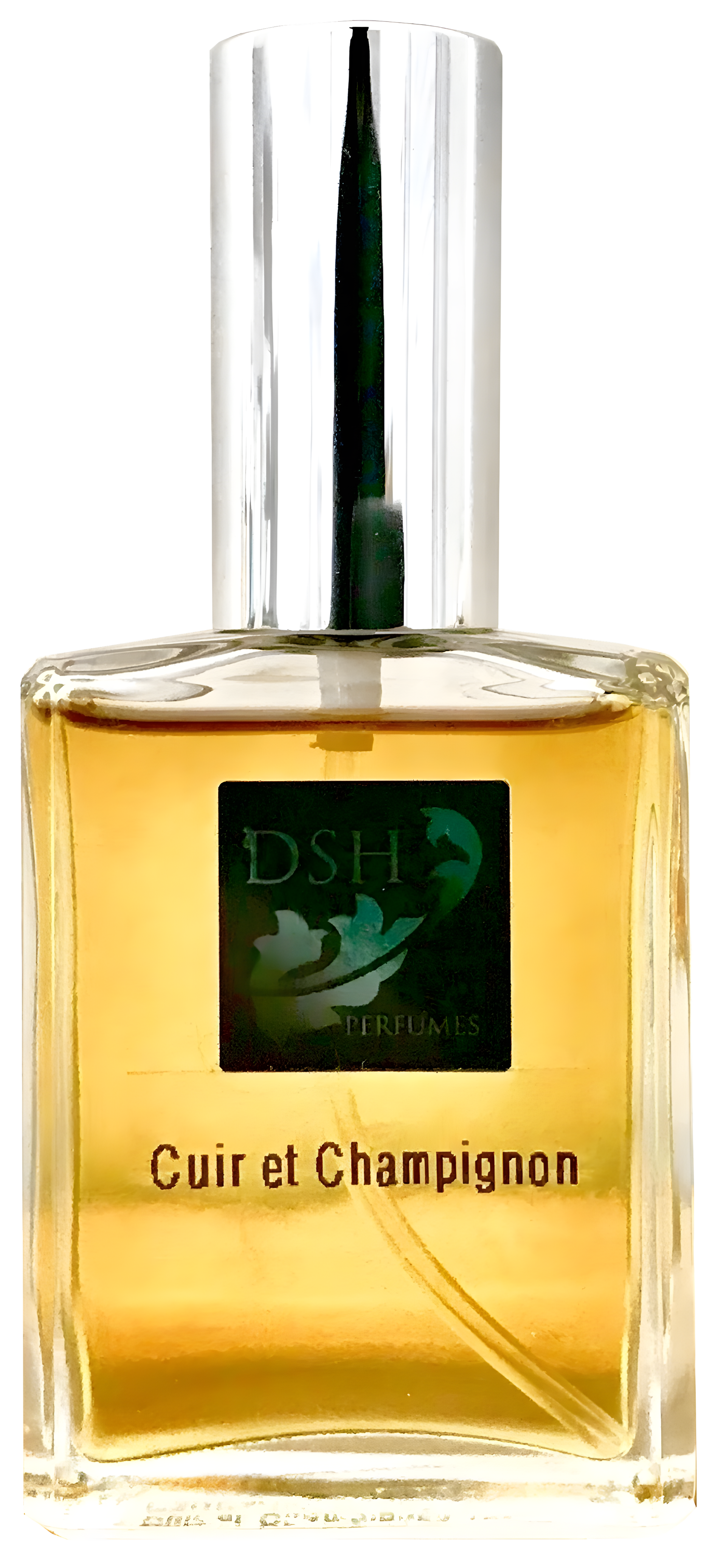 Cuir Et Champignon by DSH Perfumes perfume bottle