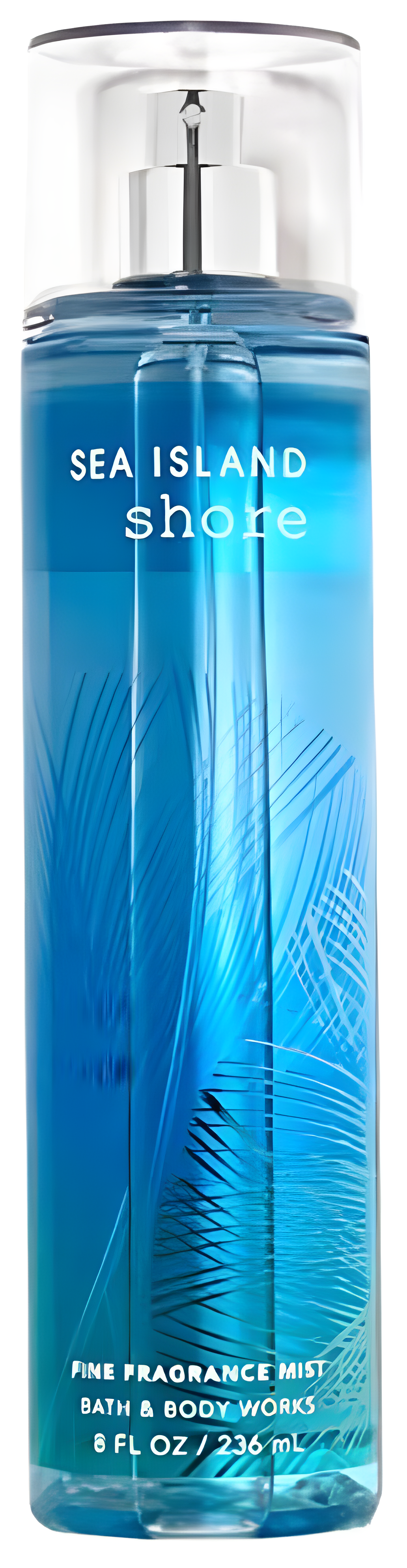 Sea Island Shore by Bath & Body Works perfume bottle