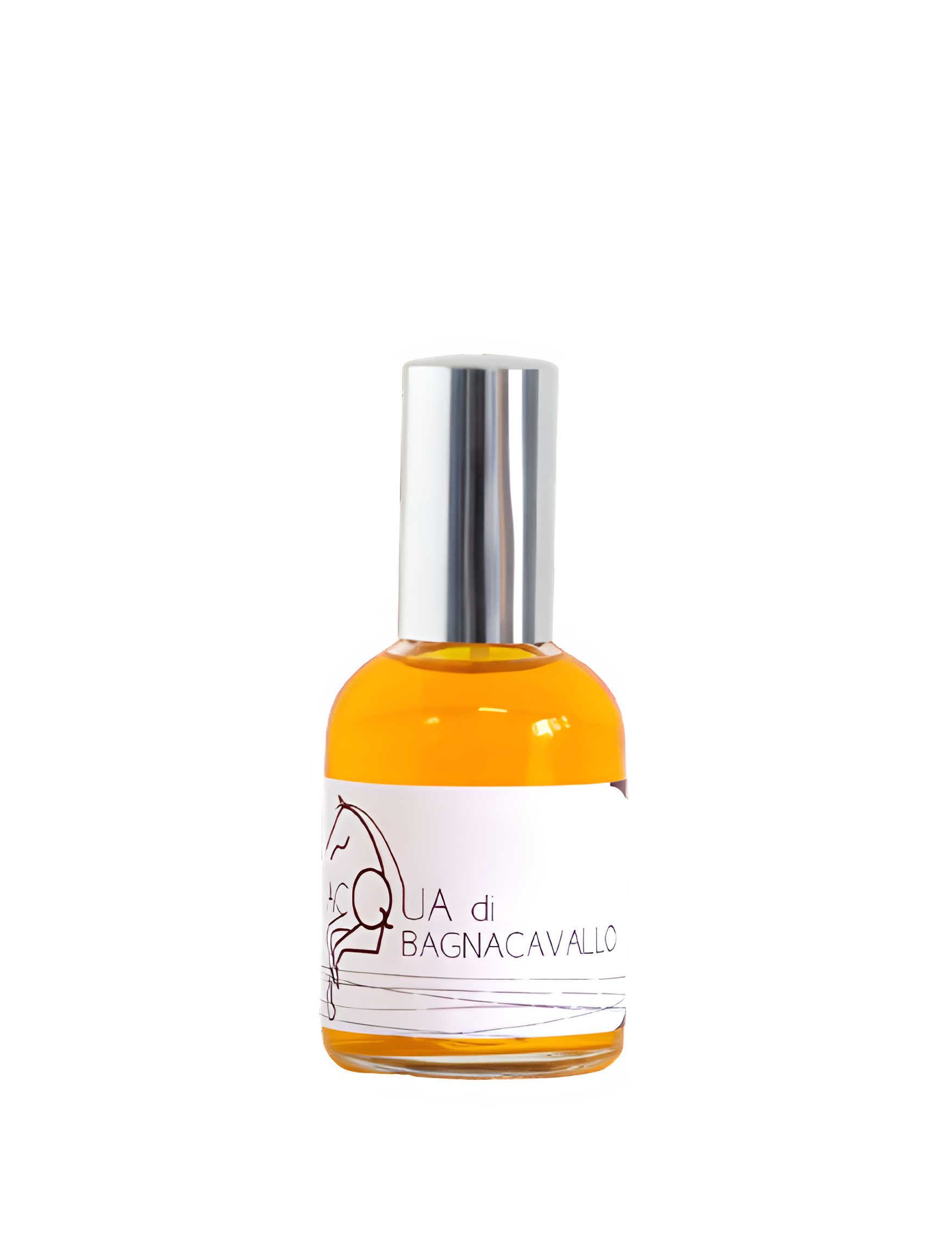 Acqua Di Bagnacavallo by Olfattiva perfume bottle