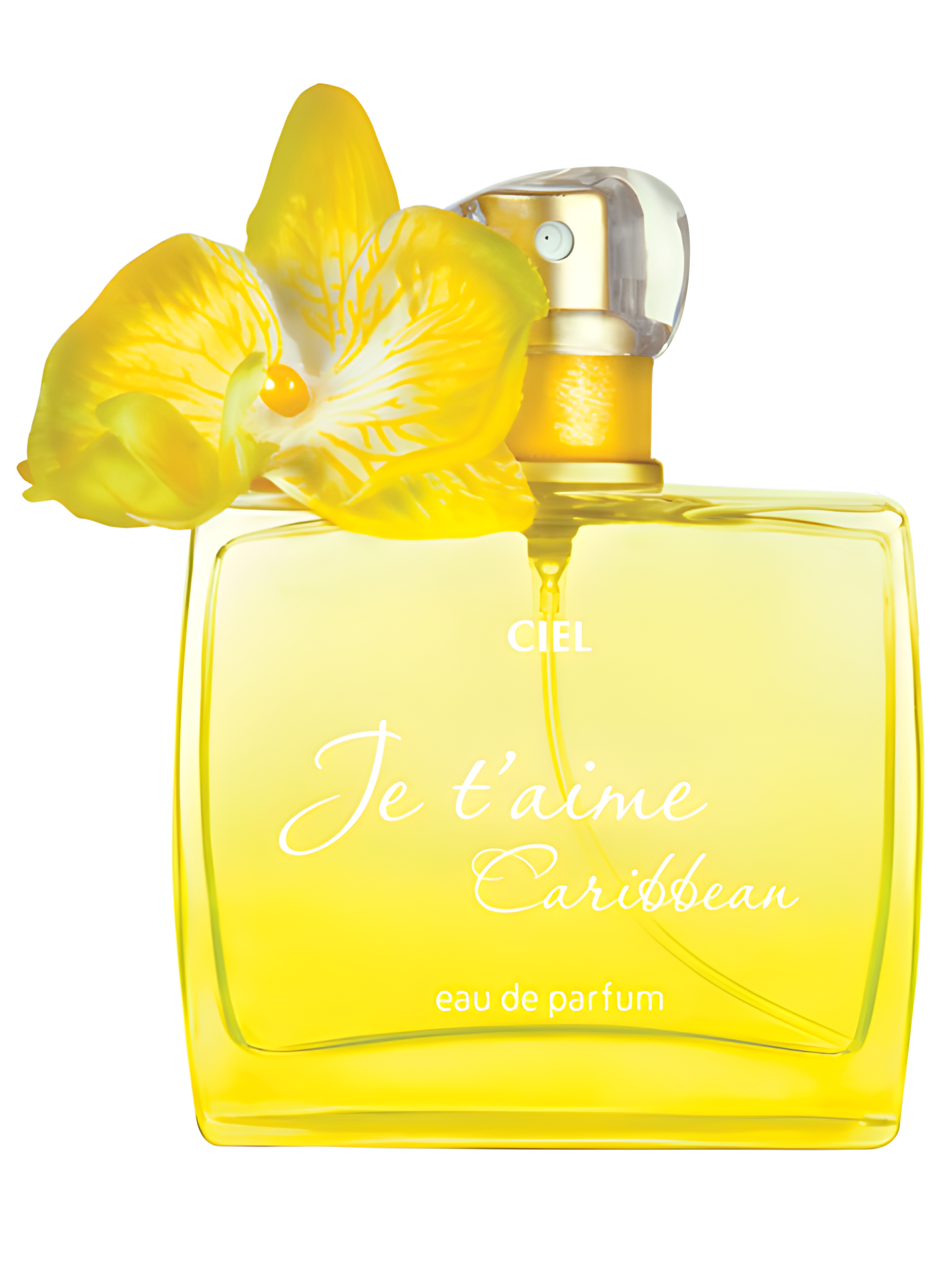 Je T’aime Caribbean by CIEL Parfum perfume bottle