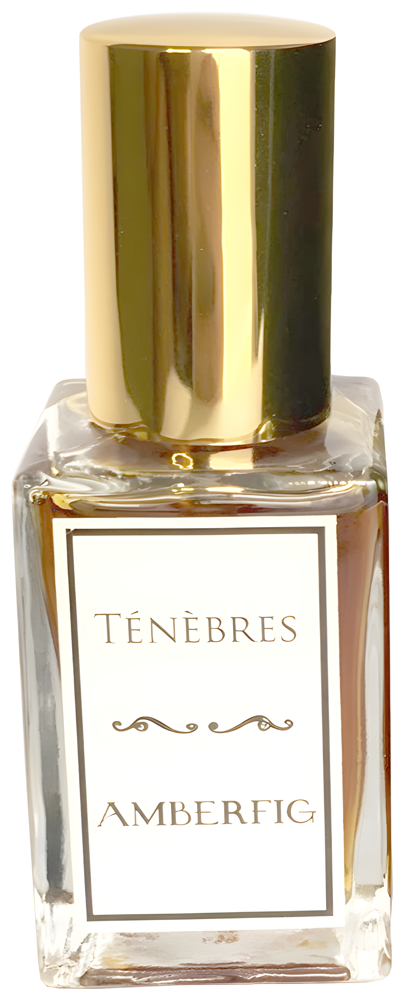 Ténèbres by Amberfig perfume bottle