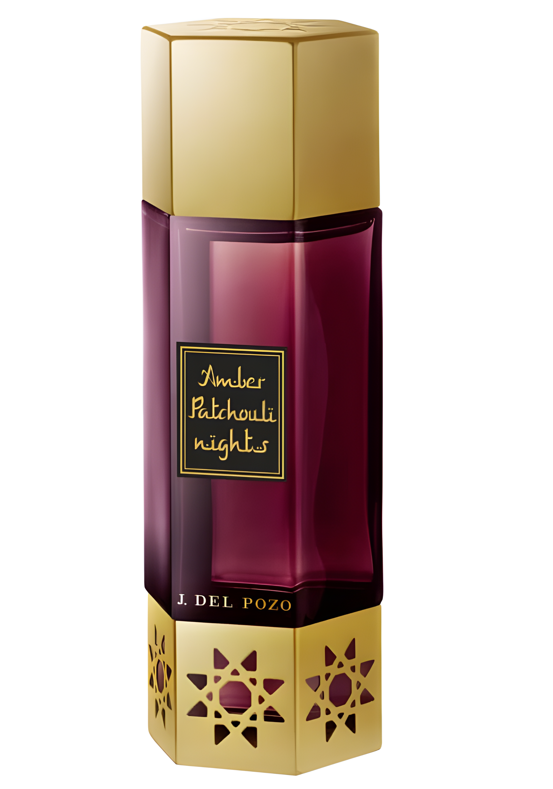 Amber Patchouli Nights by Jesus Del Pozo perfume bottle