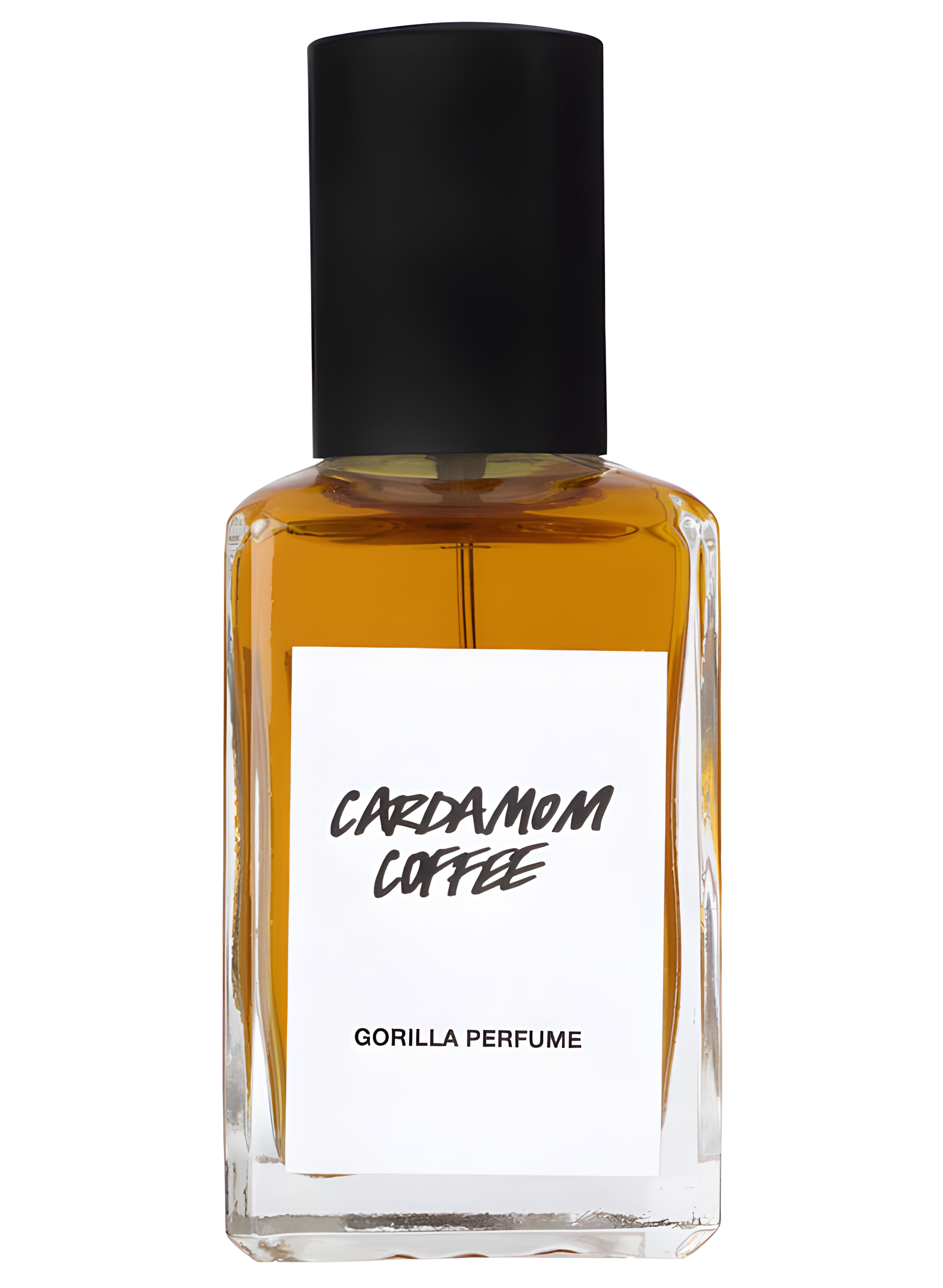 Cardamom Coffee by Lush perfume bottle