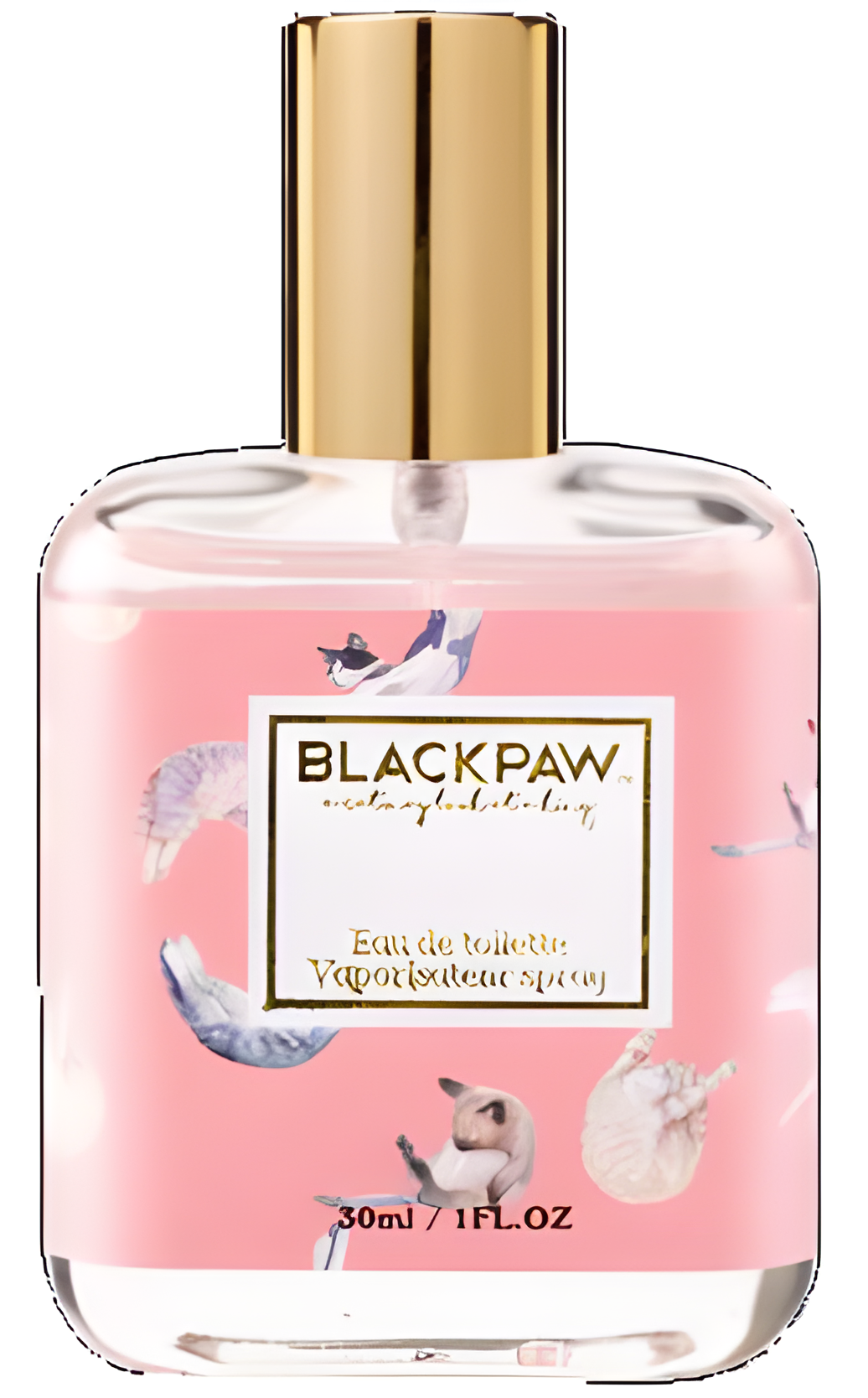 Little Milk Cat by Black Paw perfume bottle