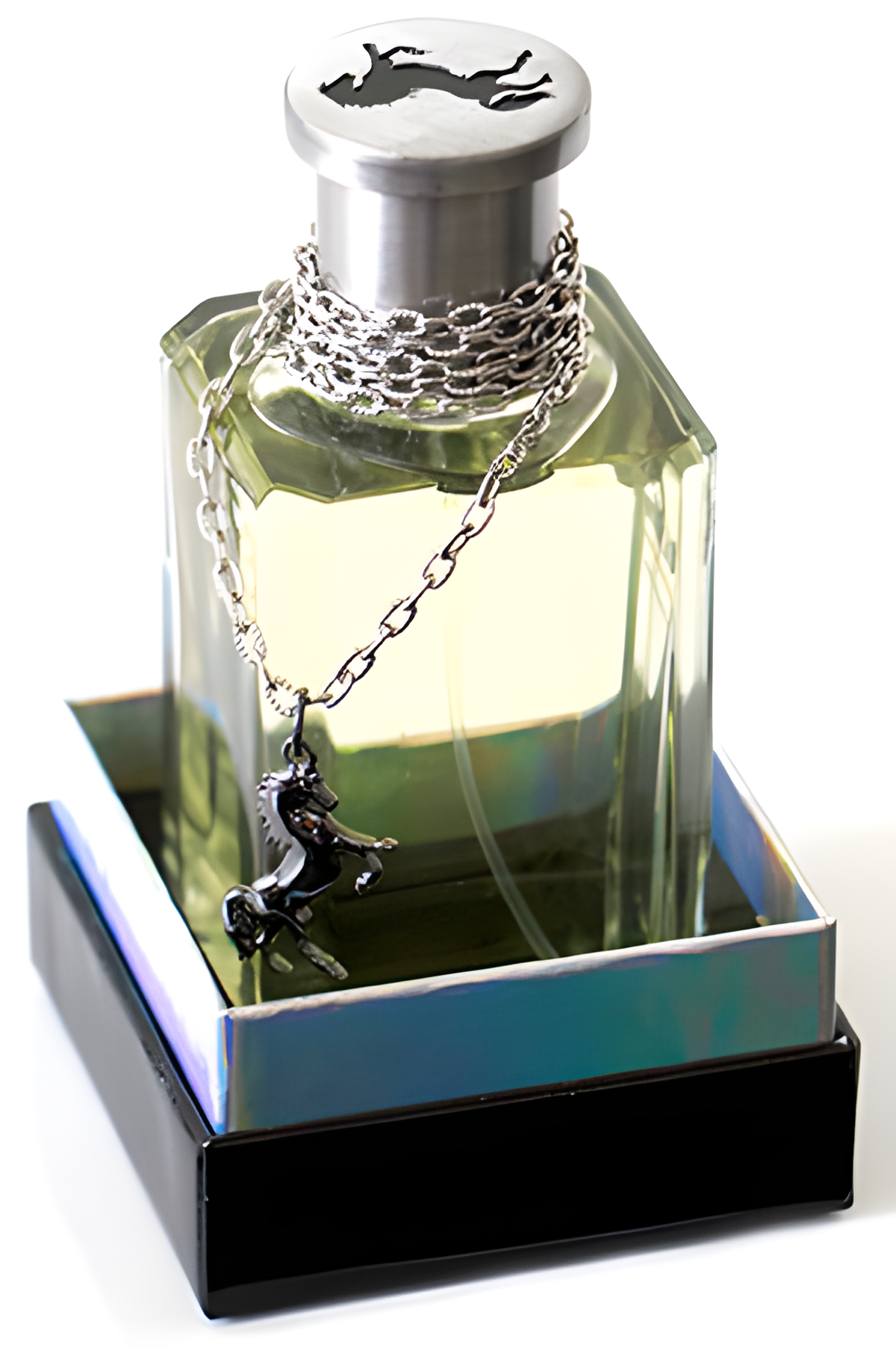 Black Stallion by Sergio Goyri by Eclectic Collections perfume bottle