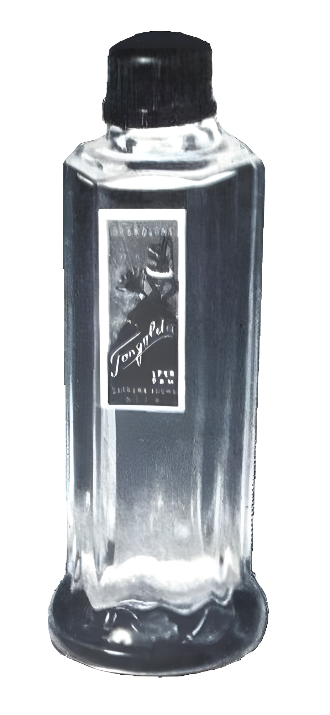 Tangolita by Dzintars perfume bottle