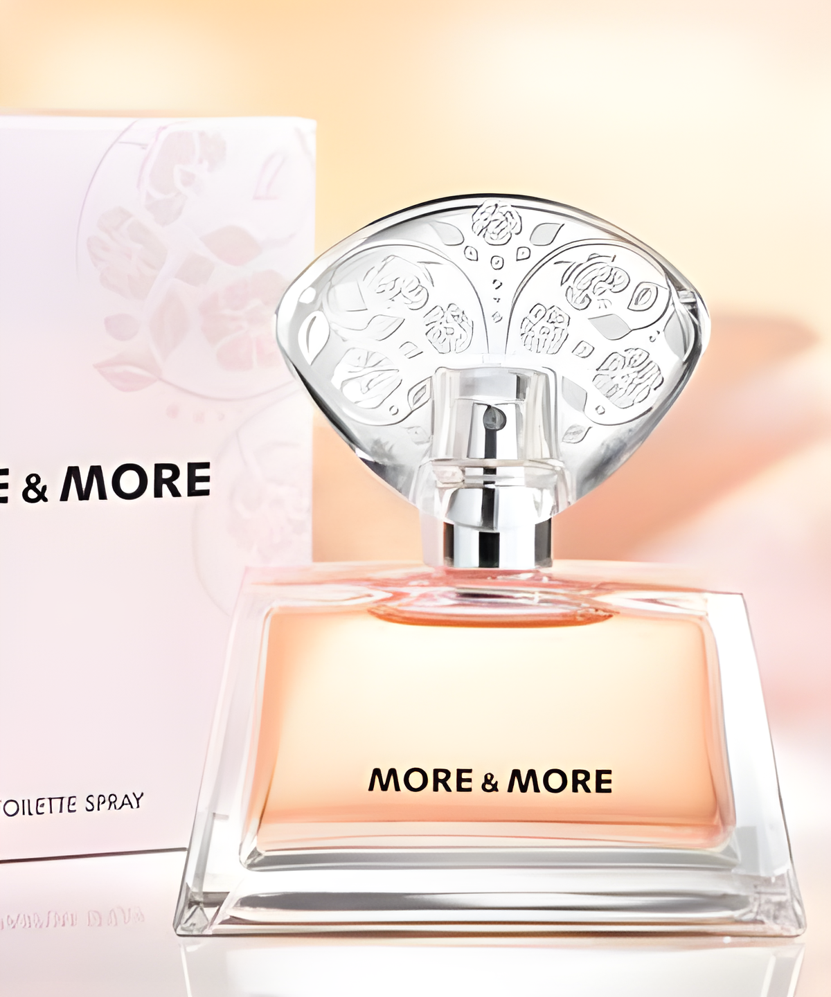MORE&MORE MORE&MORE