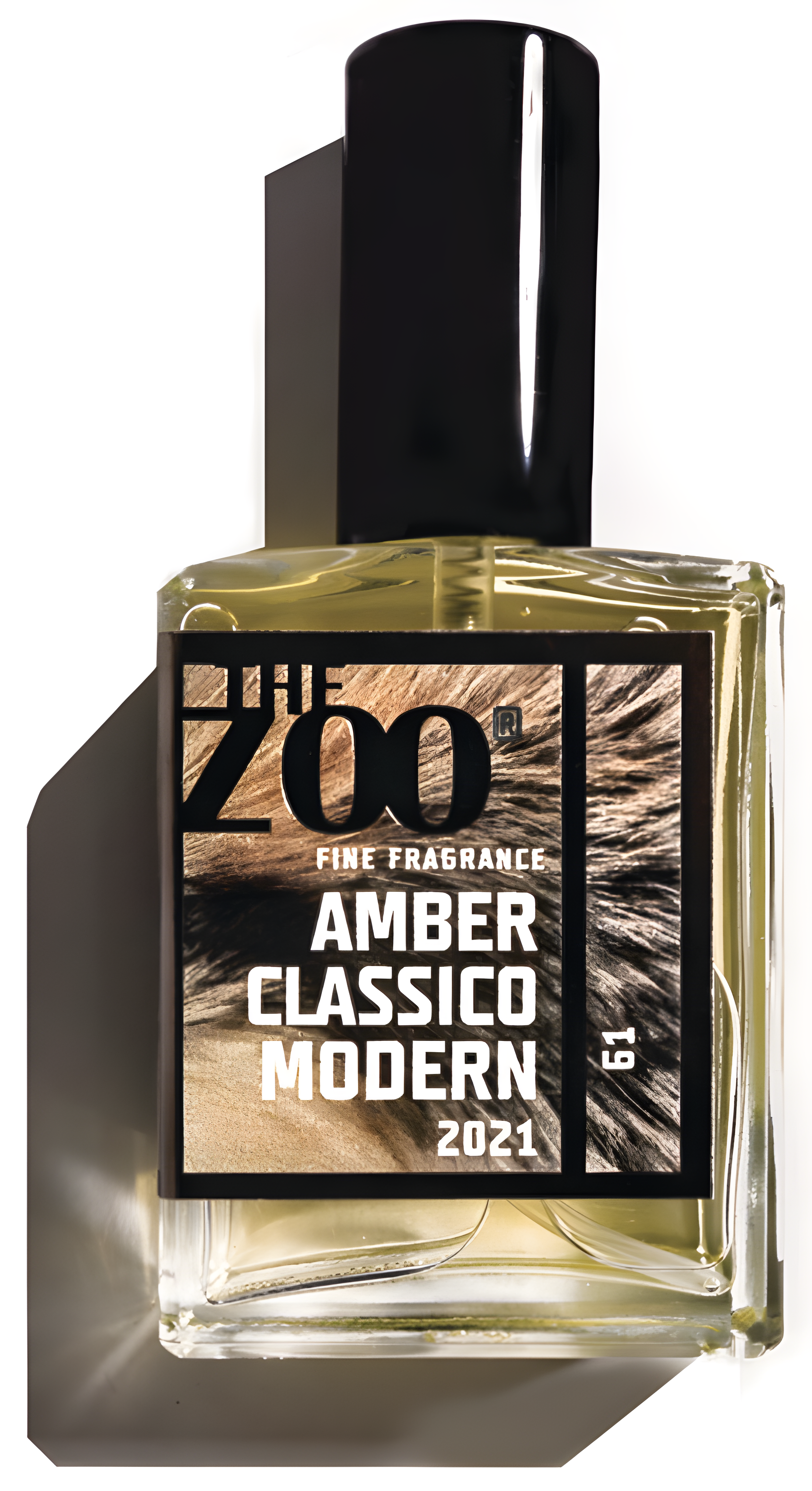 Amber Classico Modern by The Zoo perfume bottle