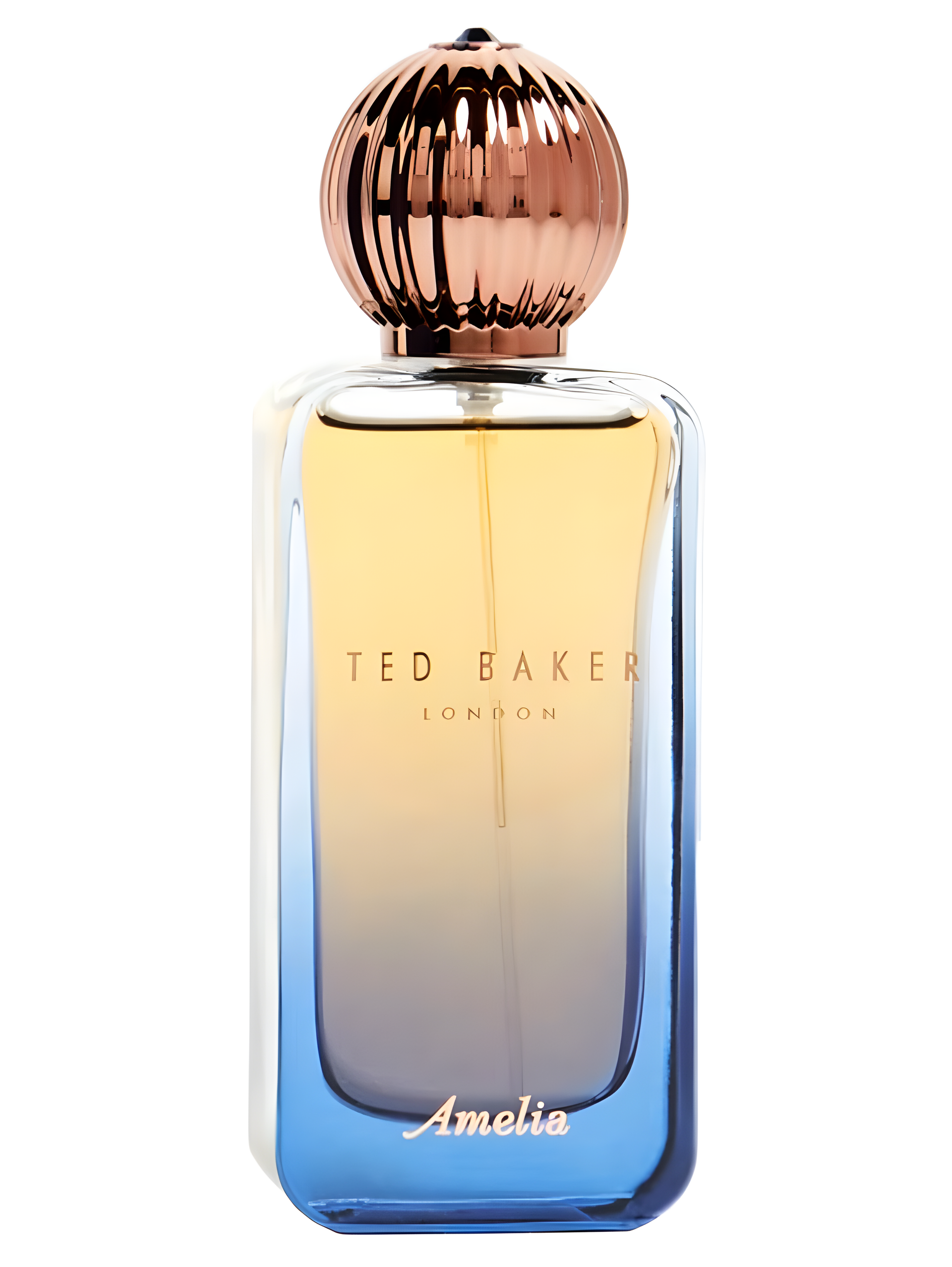 Amelia by Ted Baker perfume bottle