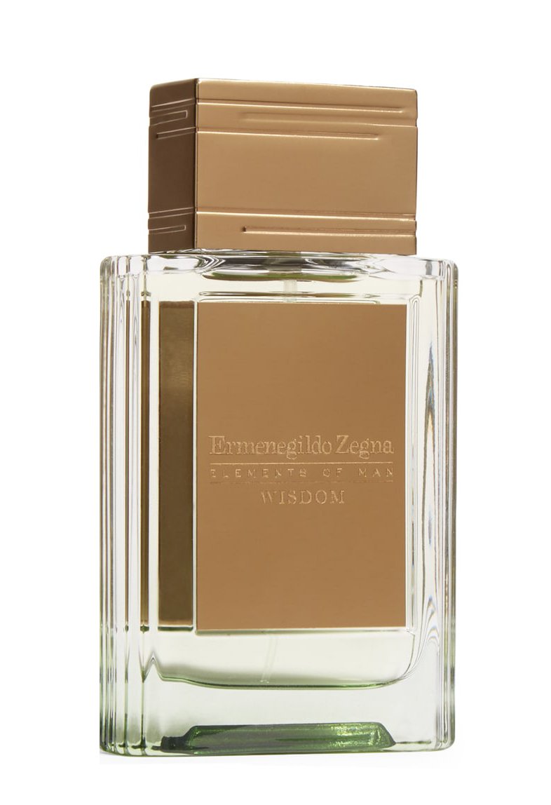 Wisdom by Ermenegildo Zegna perfume bottle