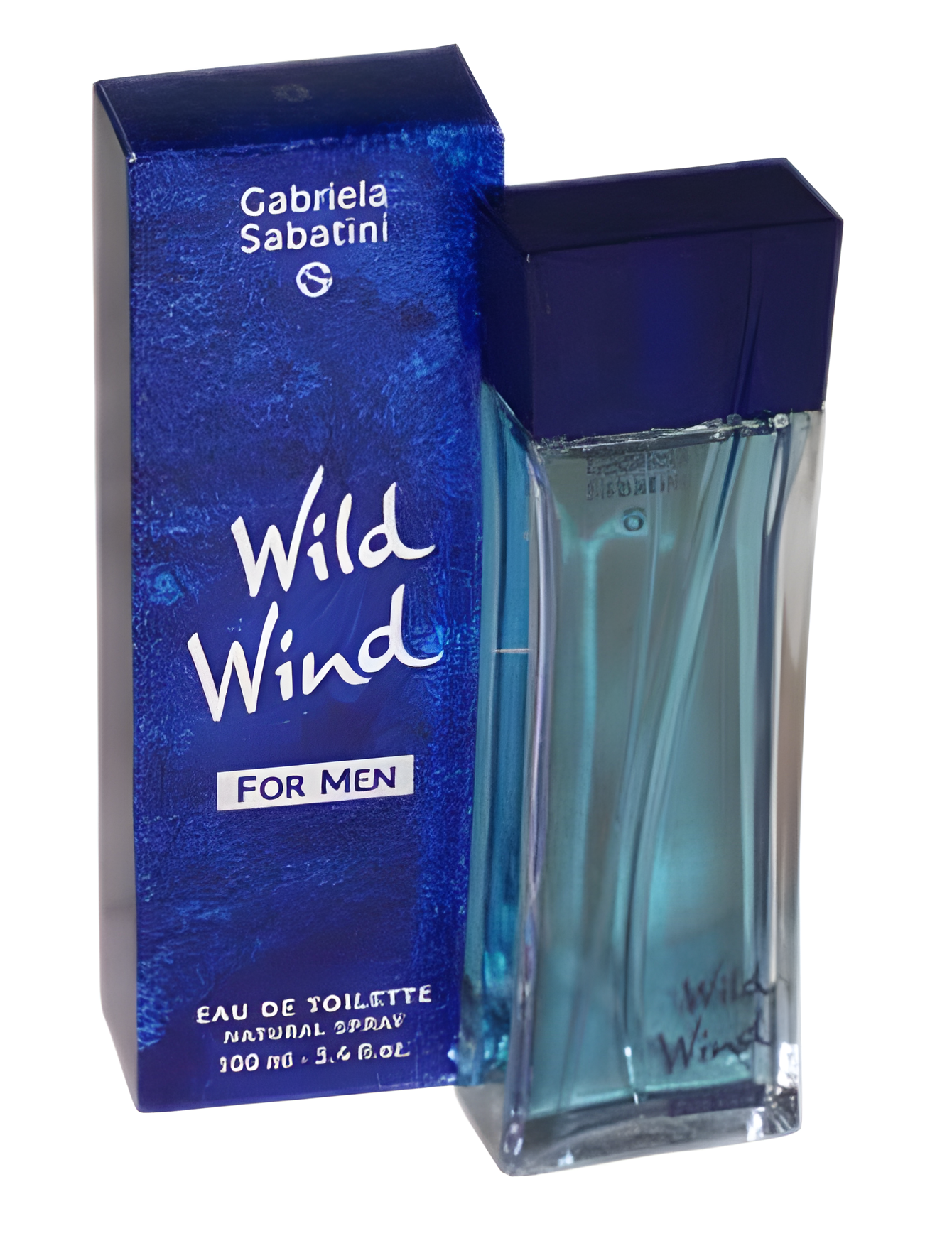 Wild Wind for Men by Gabriela Sabatini perfume bottle