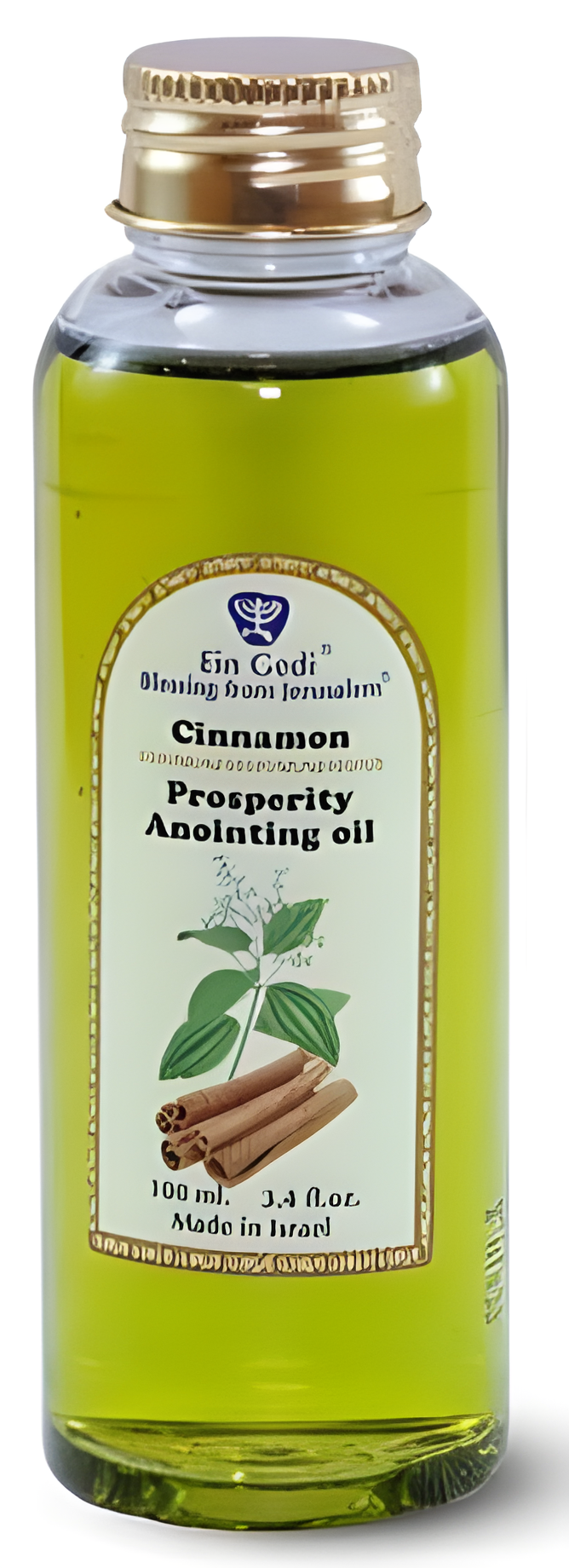 Cinnamon Anointing Oil by Ein Gedi perfume bottle