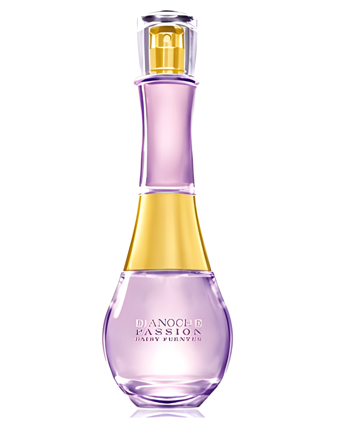 Dianoche Passion Night by Daisy Fuentes perfume bottle