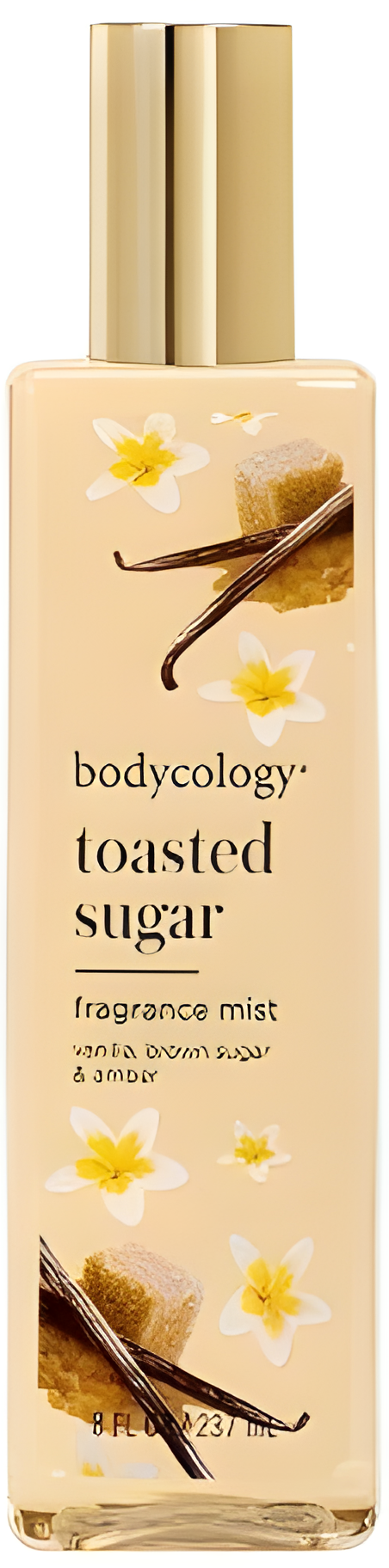 Toasted Sugar by Bodycology perfume bottle