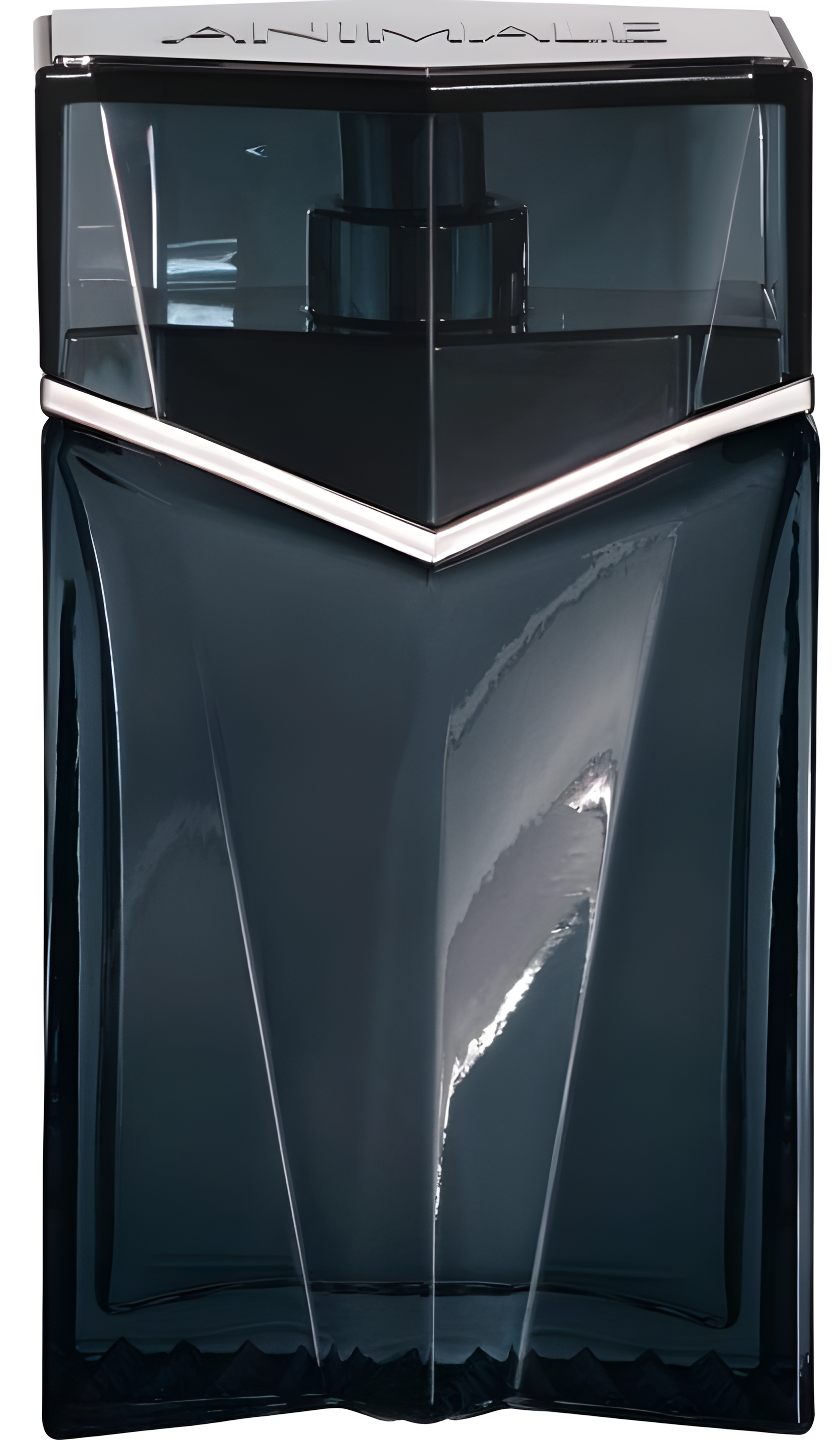 Animale Instinct Homme by Animale perfume bottle