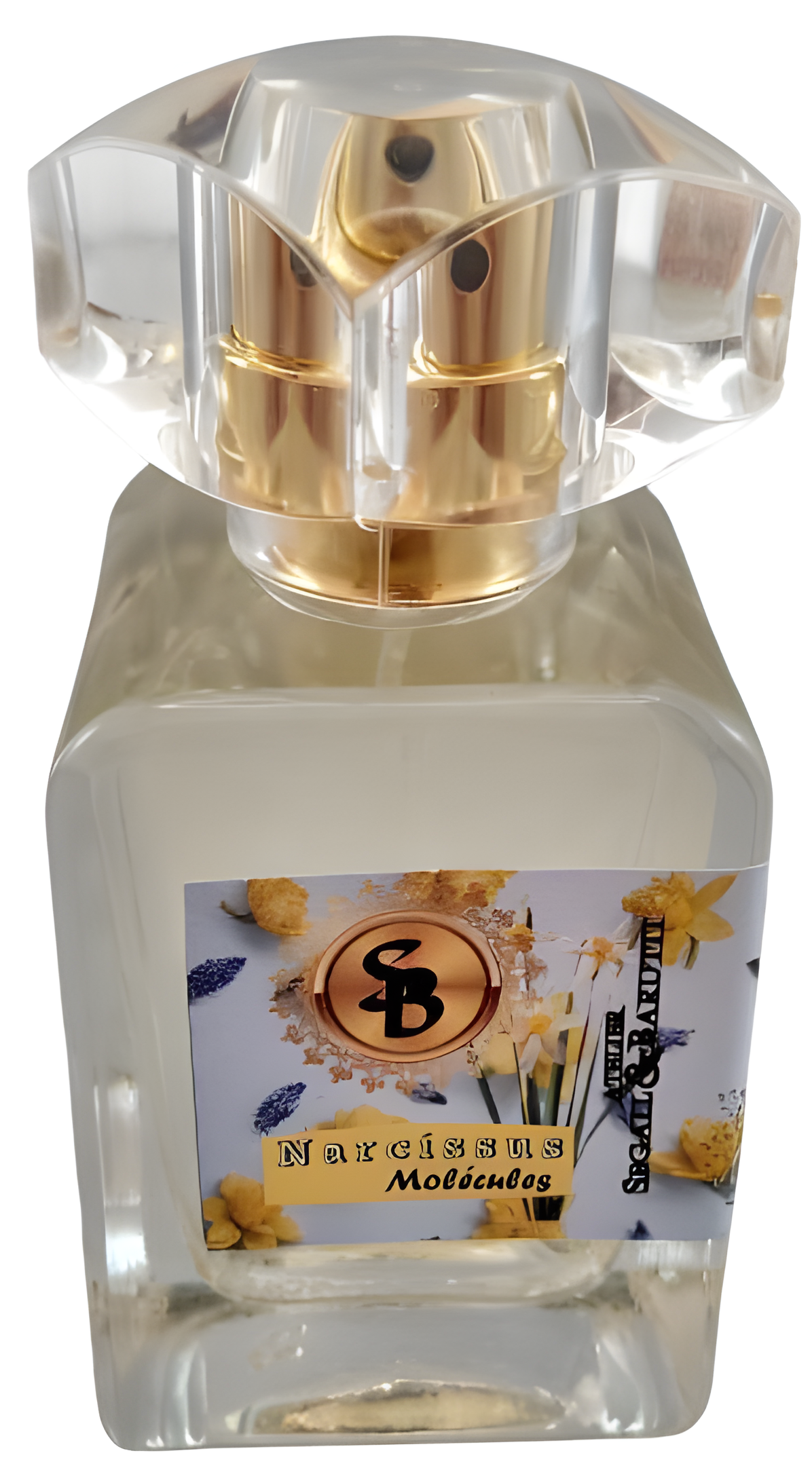 Narcissus Molécules by Atelier Segall & Barutti perfume bottle