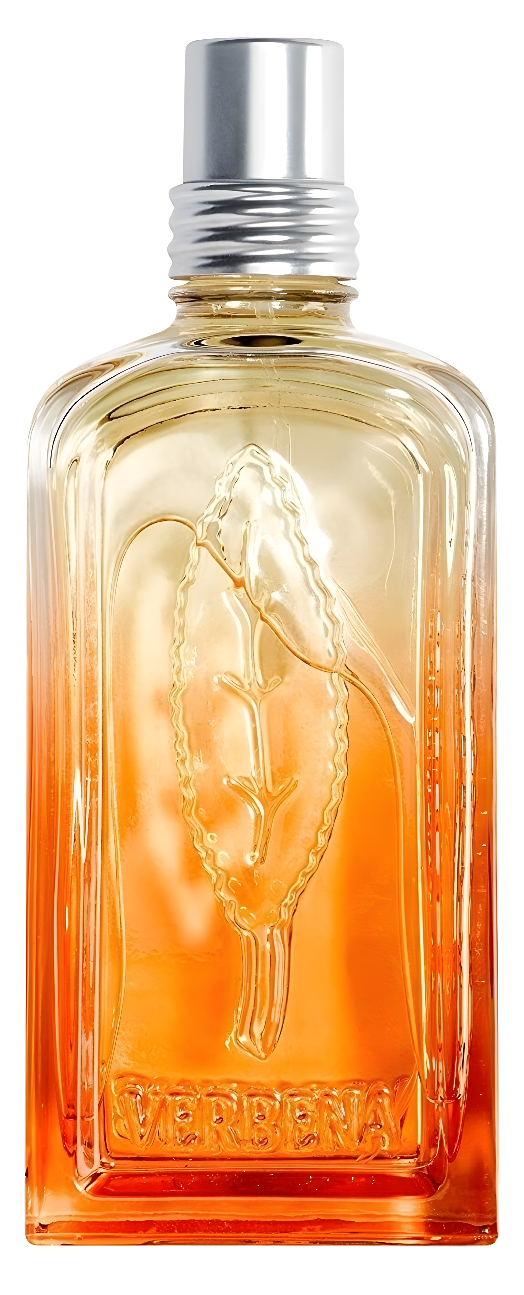 Verveine Mandarine by L'Occitane en Provence perfume bottle