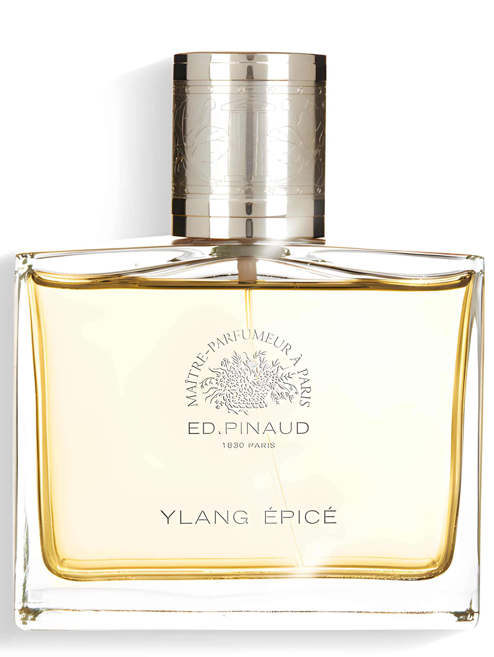 Ylang Épice by Ed Pinaud perfume bottle