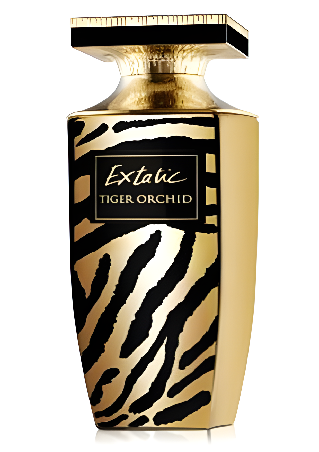 Extatic Tiger Orchid by Pierre Balmain perfume bottle