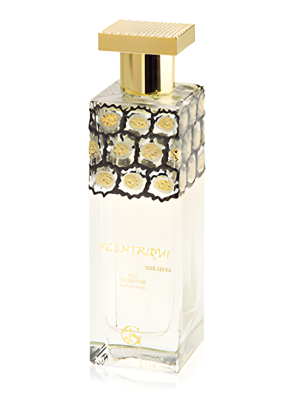 Excentrique Pour Homme by Paolo Gigli perfume bottle