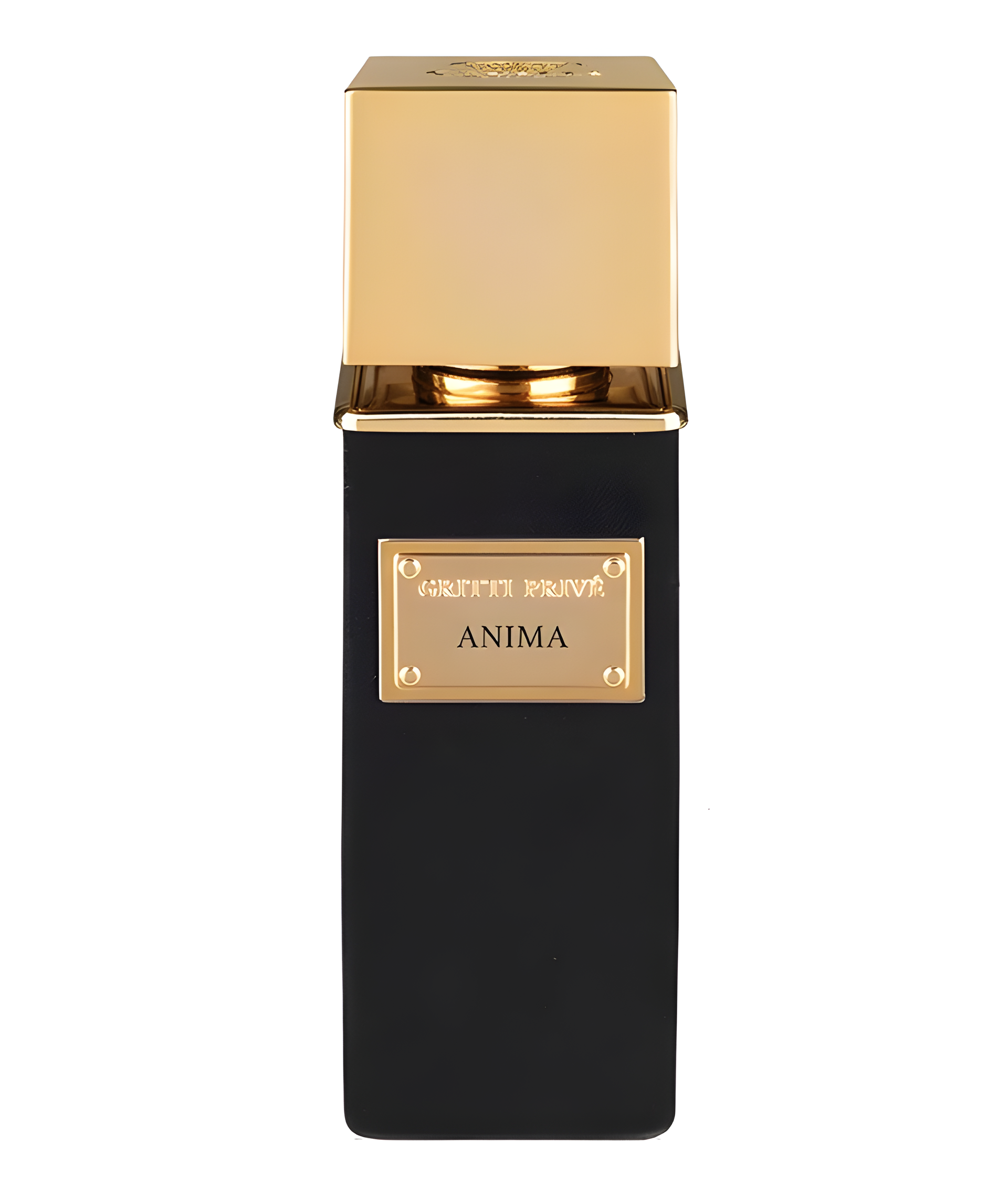 Anima by Gritti perfume bottle