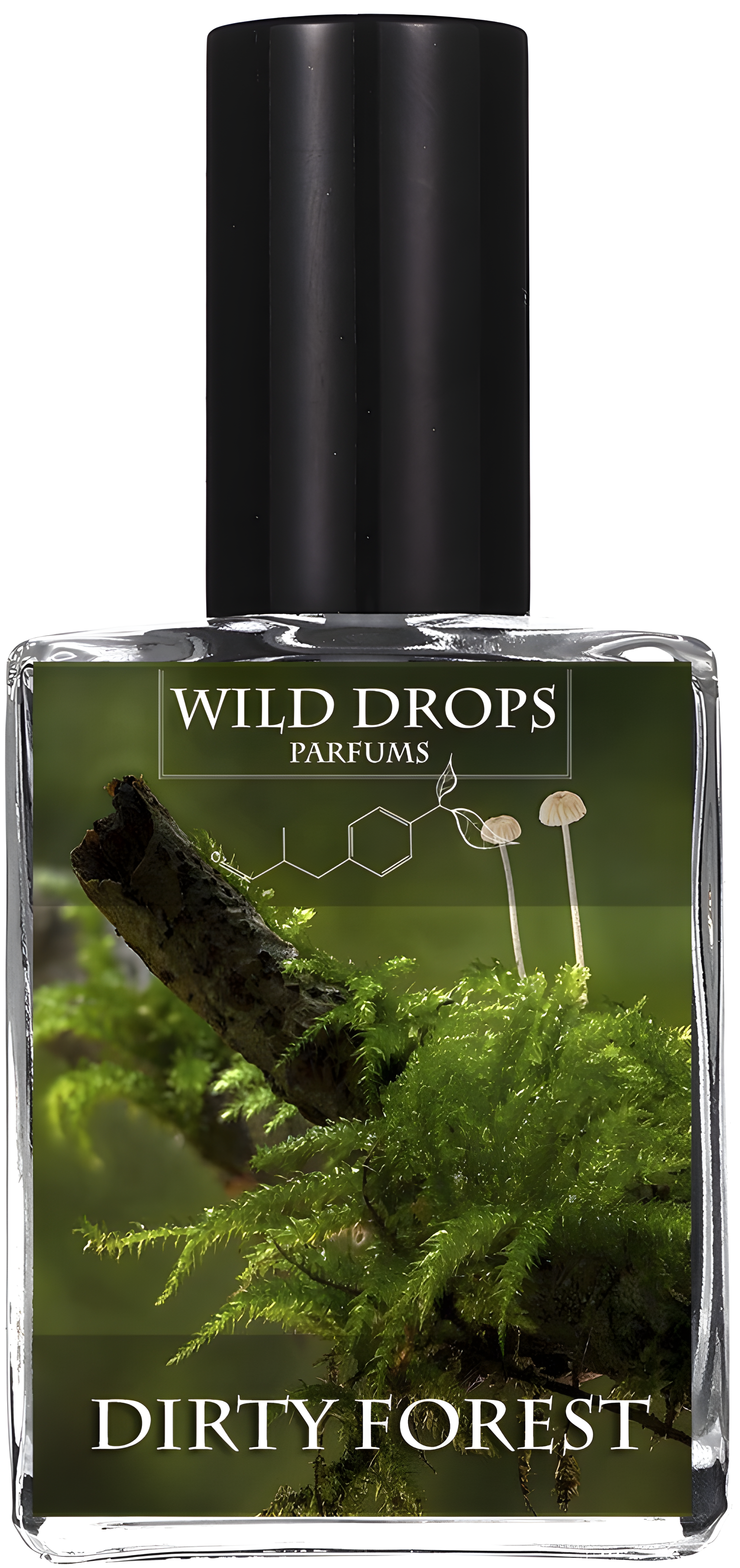 Dirty Forest by Wild Drops Parfums perfume bottle