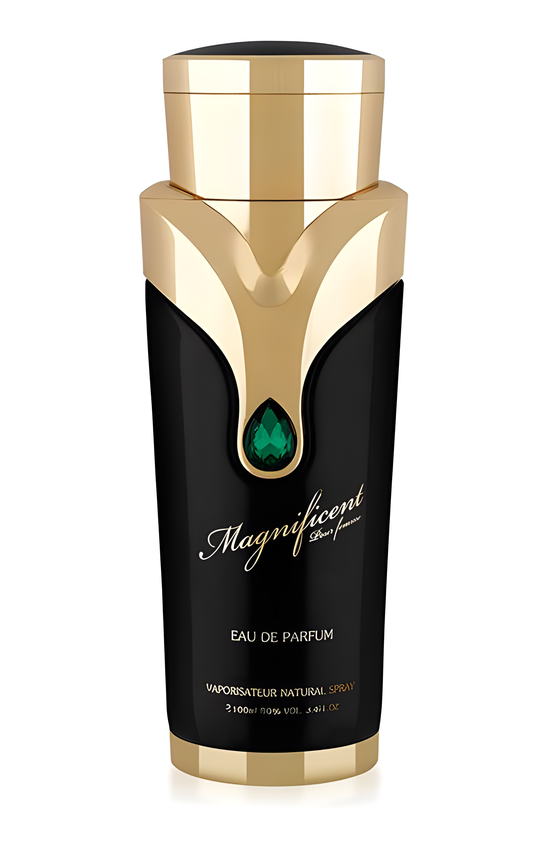 Magnificent Pour Femme by Armaf perfume bottle