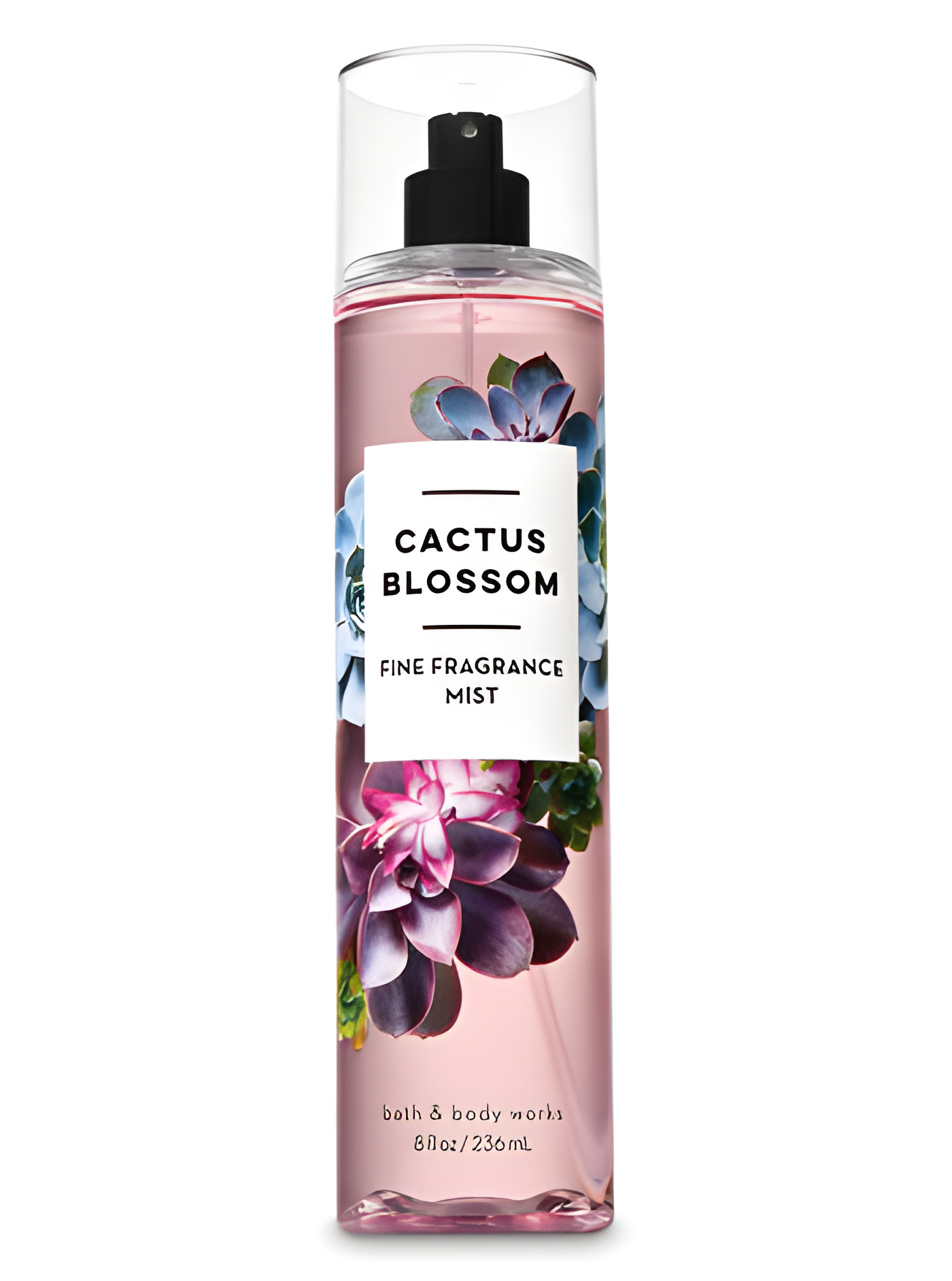 Cactus Blossom by Bath & Body Works perfume bottle
