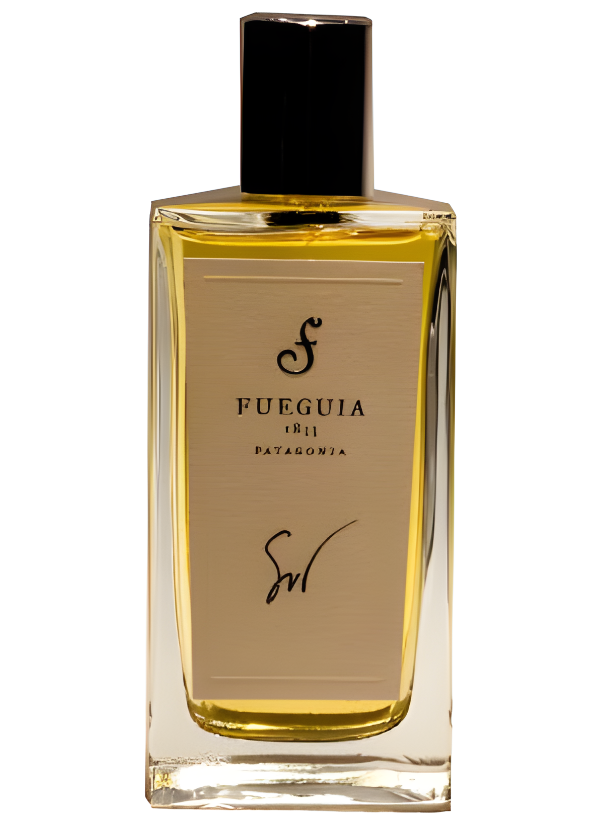 Sur by Fueguia 1833