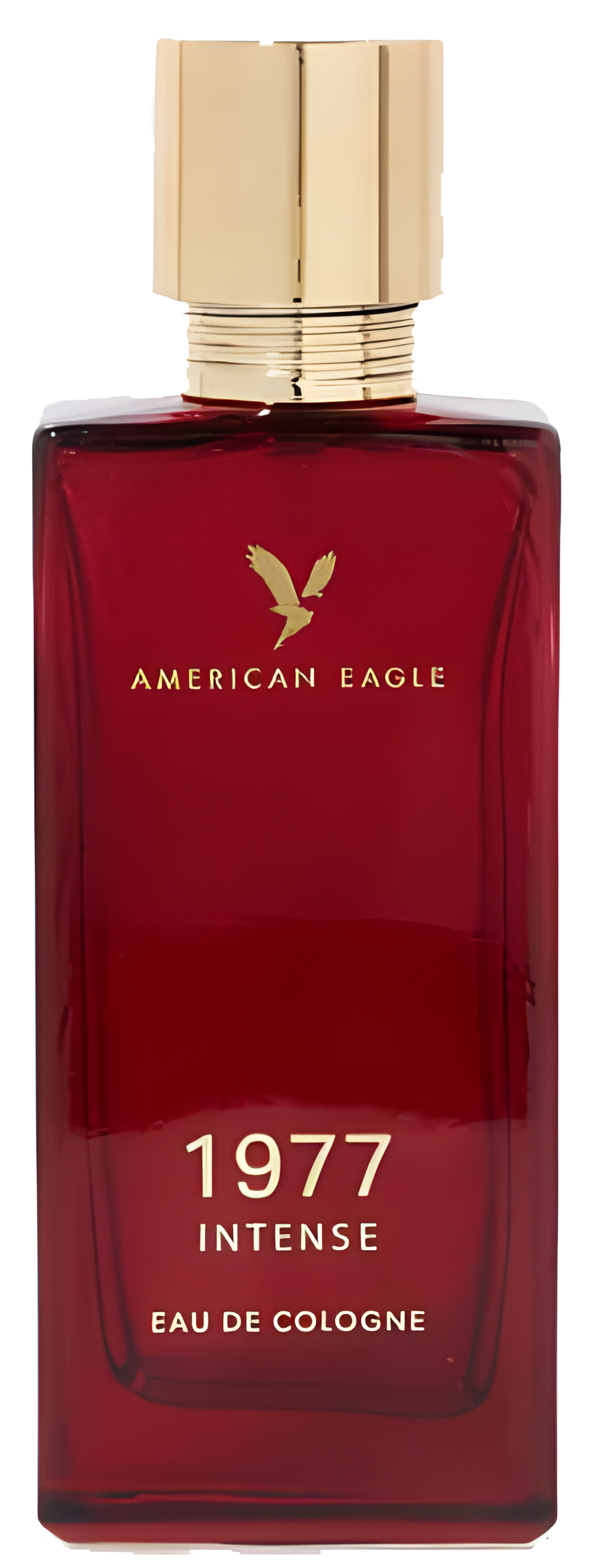 AEO 1977 Intense by American Eagle perfume bottle
