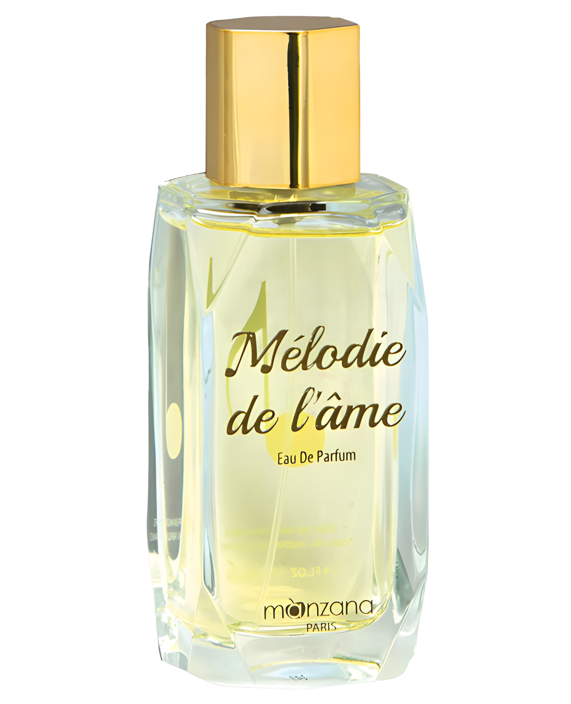 Melodie de l'Ame by Manzana Paris perfume bottle