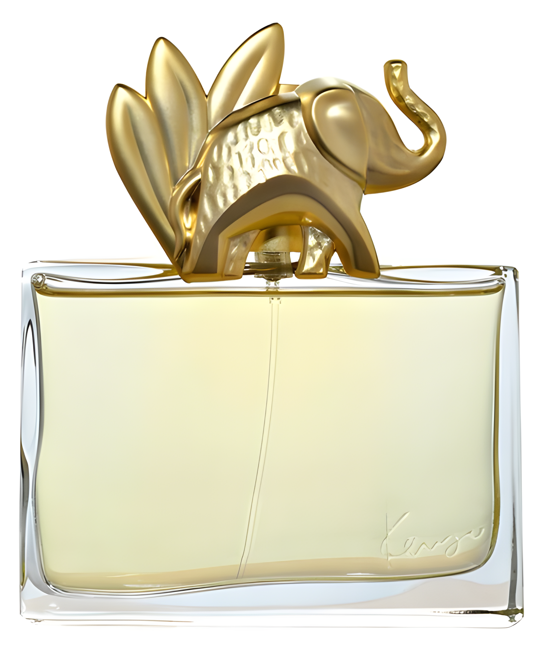 Kenzo Jungle L'Elephant by Kenzo perfume bottle